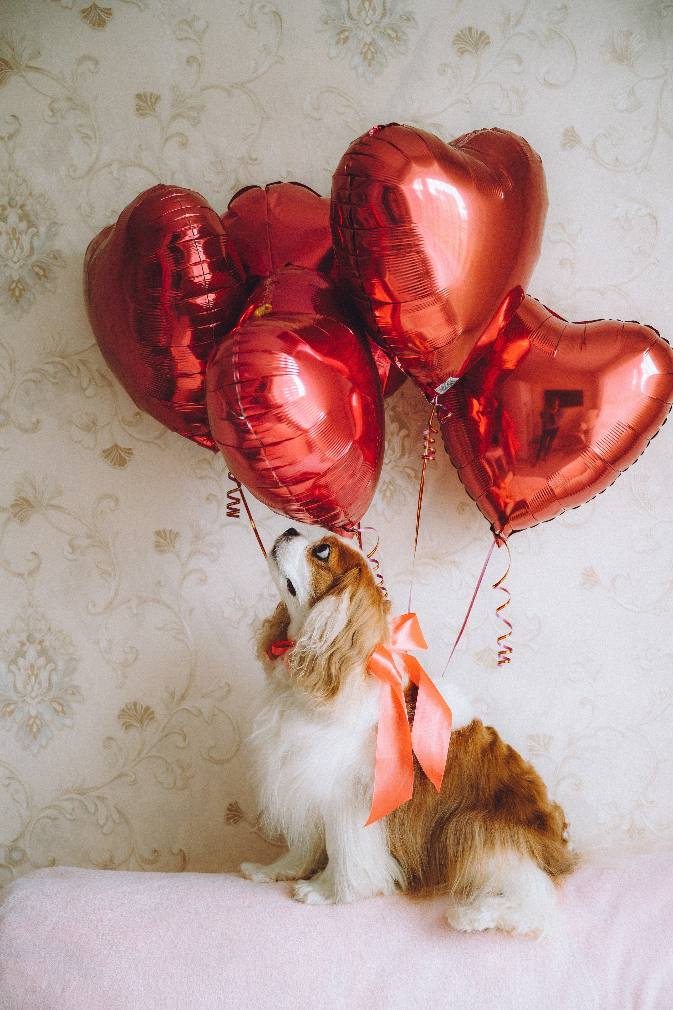 Наташа и Вики