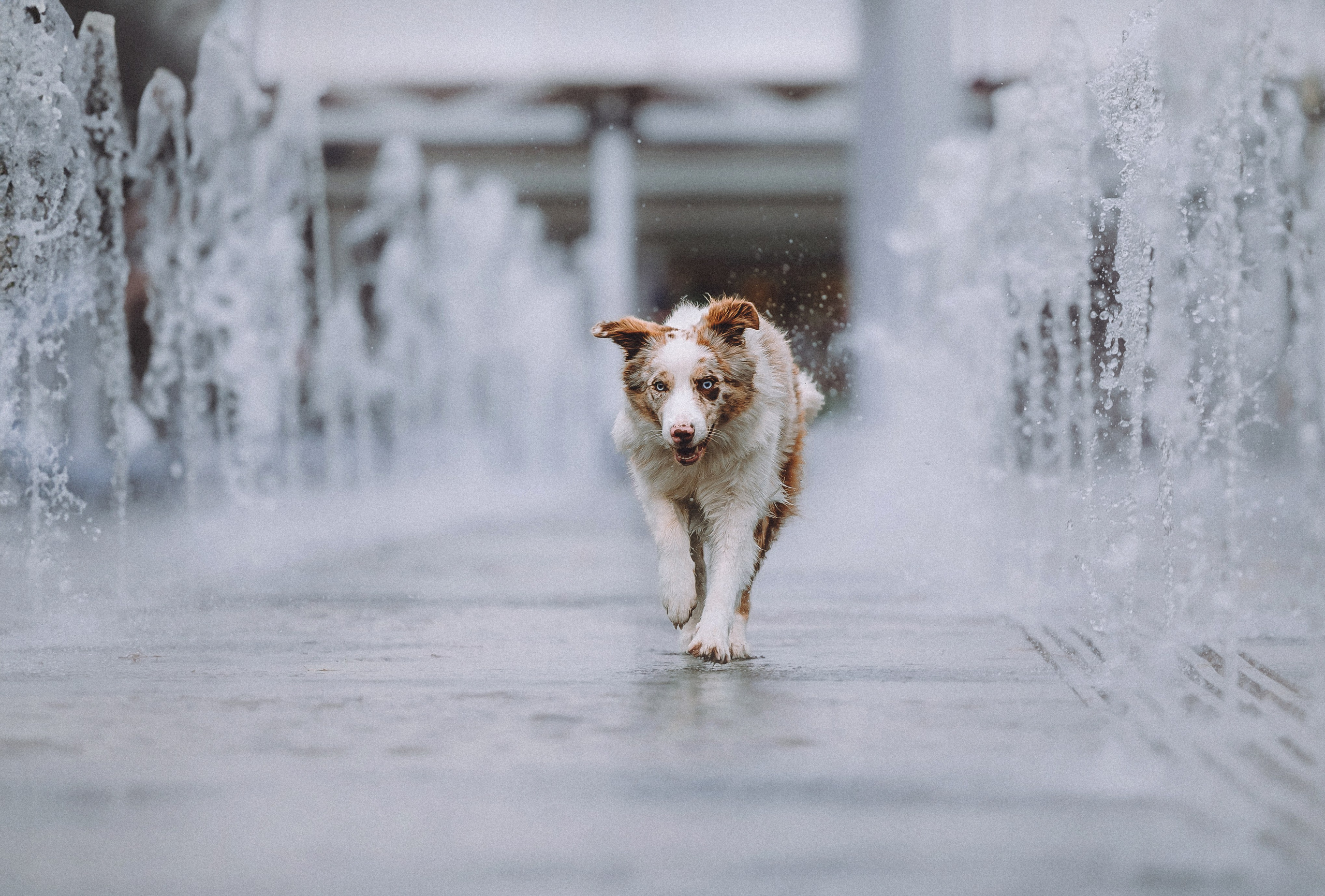 Один и его семья