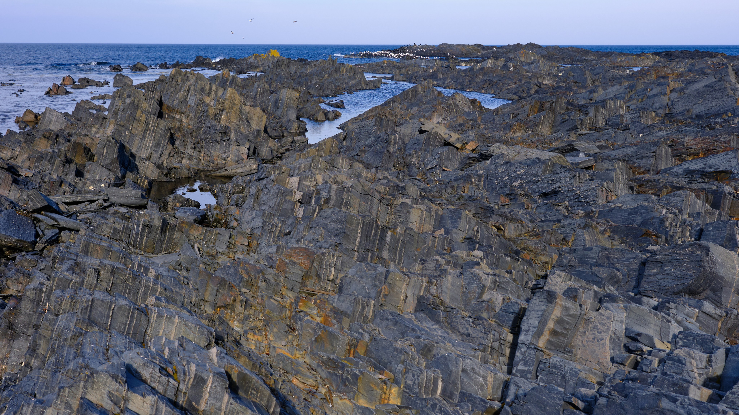 Полуостров Рыбачий. Пейзажи Крайнего Севера. Баренцево море, Рыбачий, Средний, Немецкий