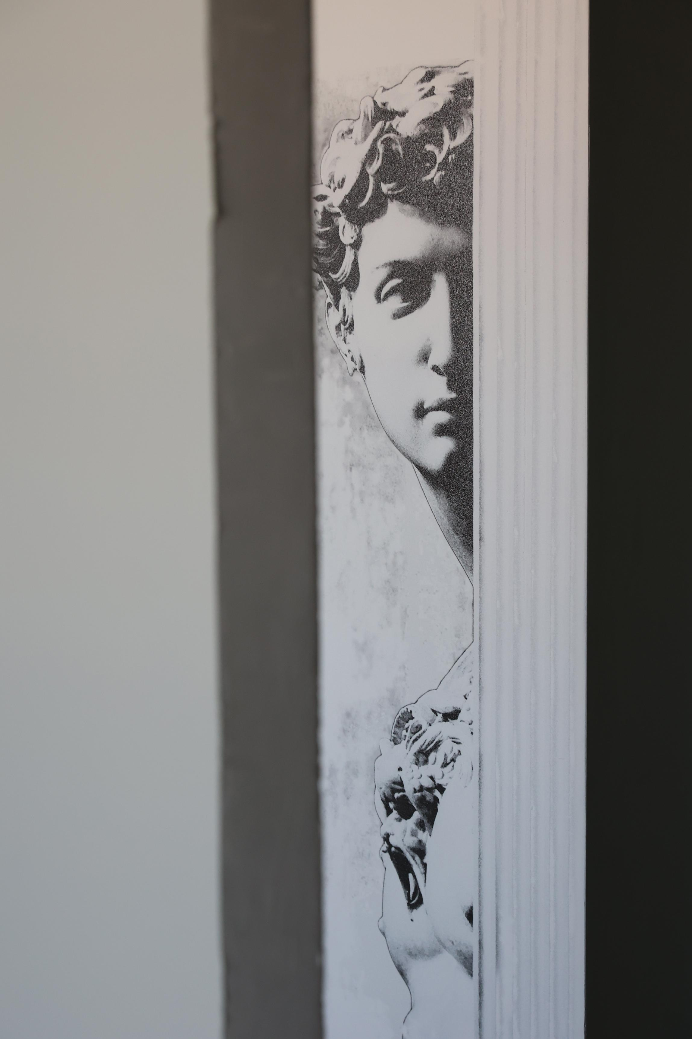 Интерьерная магия: Классный проект квартиры с скульптурами Давида | Wa. ПЕЧАТЬ НА СТЕНАХ ЕКАТЕРИНБУРГ