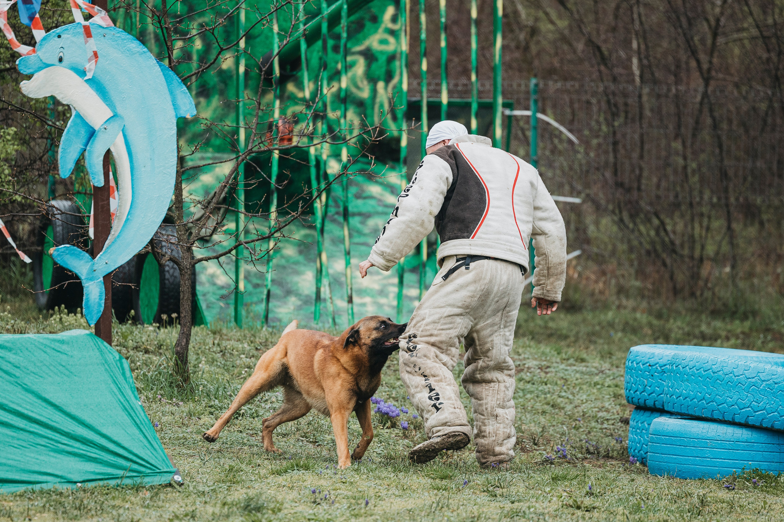Геленджик Мондьоринг. Фотограф-анималист Анна Маринич