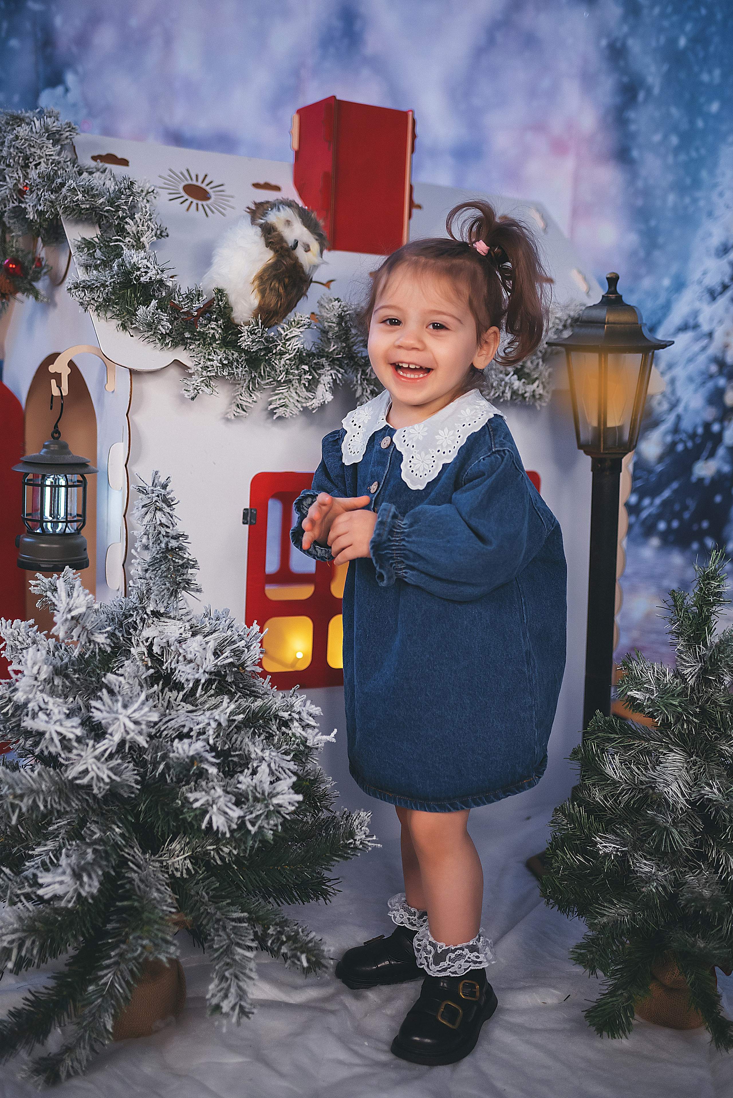 Проект «Новогодний домик». Семейный и детский фотограф в Тейково