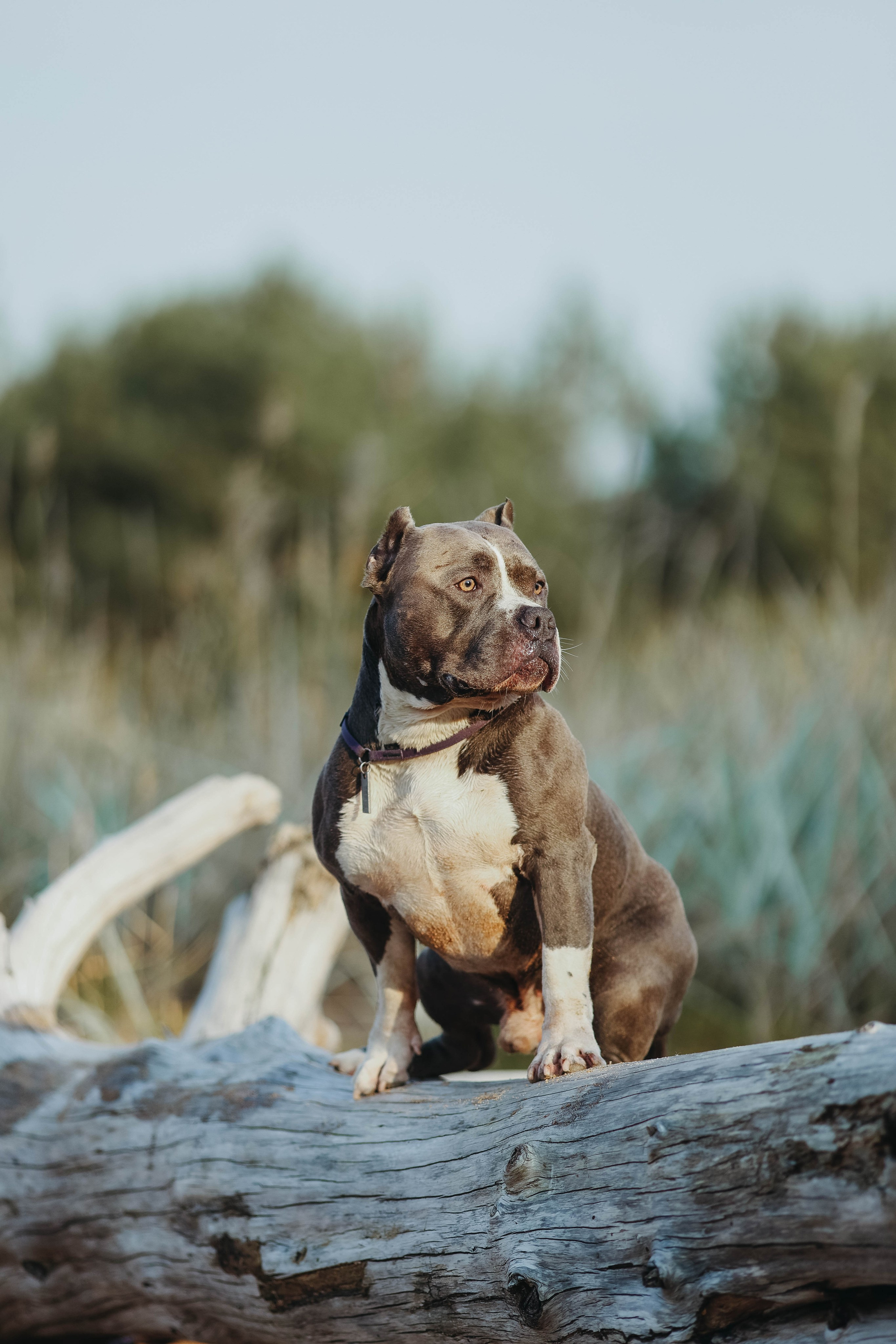На природе. Фотограф- анималист Санкт-Петербург