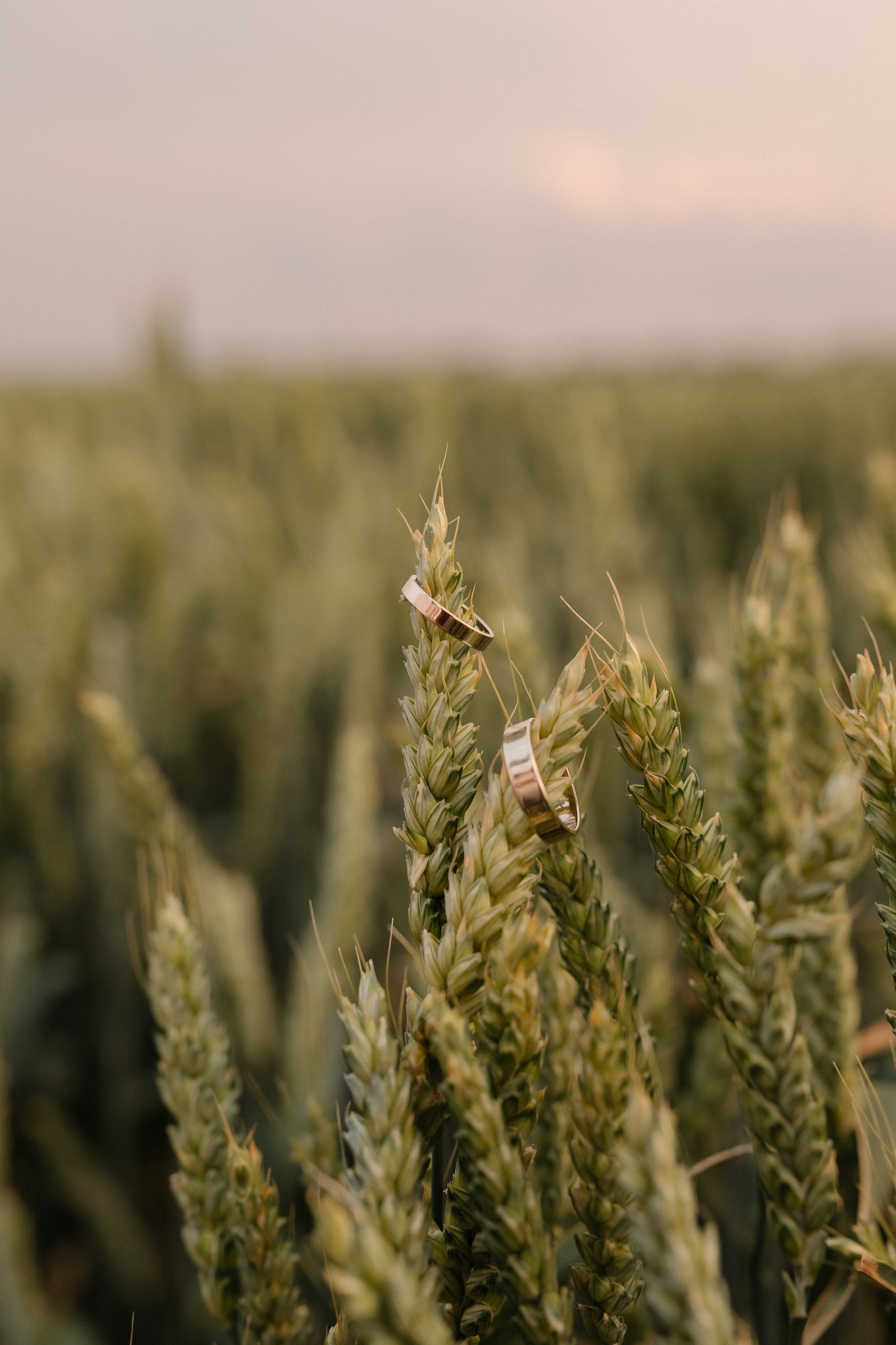 Даша и Никита. Фотограф Катя Весна