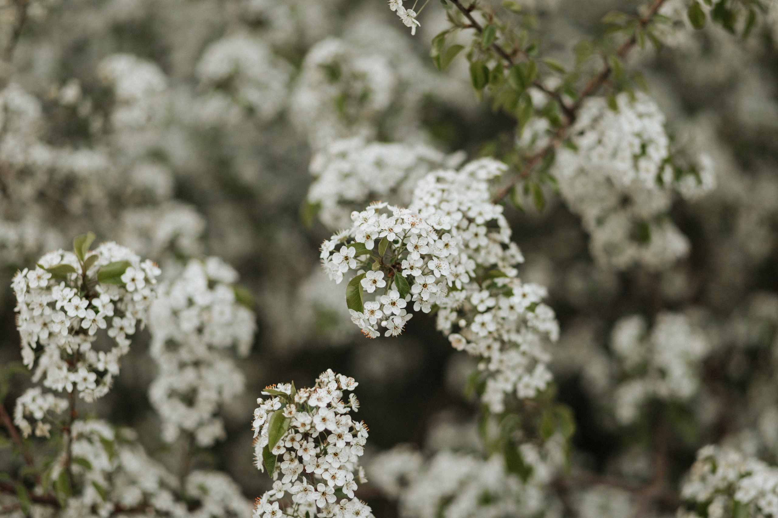 Настя. Фотограф Катя Весна