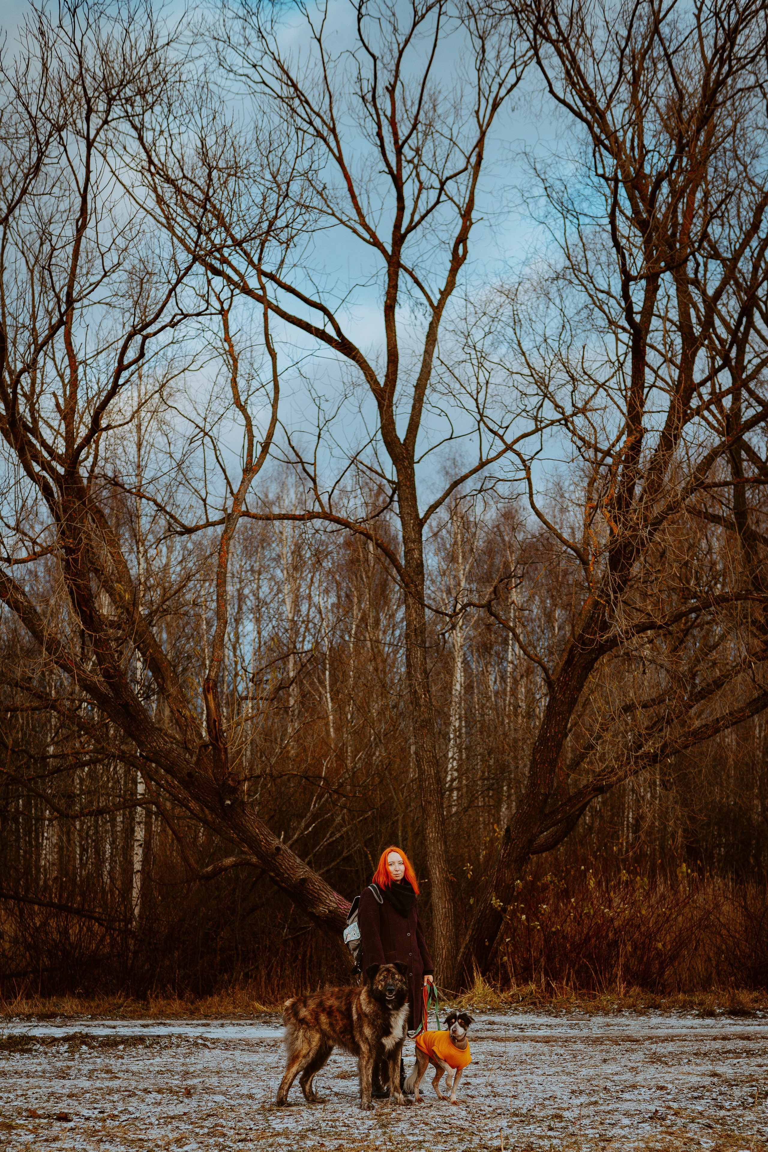 Творческая фотосессия фотографа анималиста. Фотограф анималист в Спб недорого Олеся Майорова