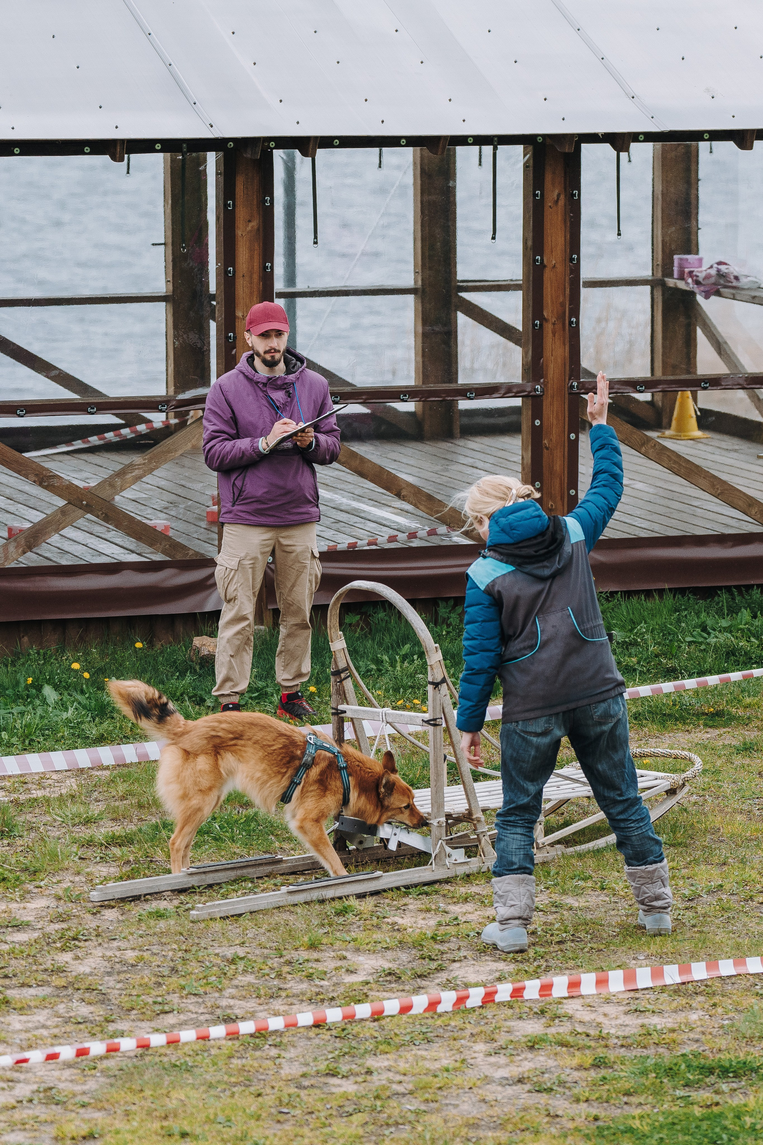 Соревнования по ноузворку в Лосево. Фотограф анималист в Спб недорого Олеся Майорова