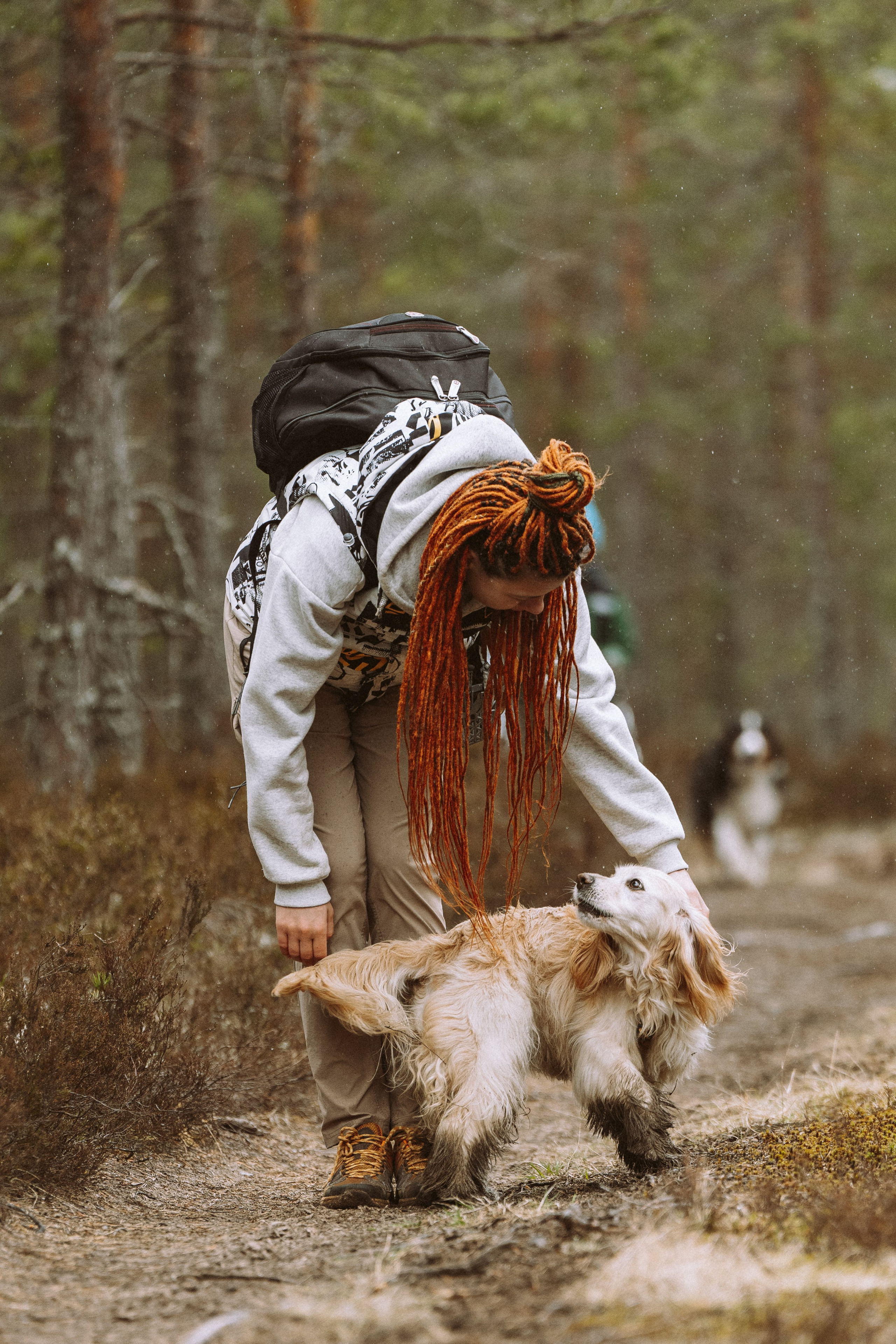 Дог трекинг к финскому хутору. Фотограф анималист в Спб недорого Олеся Майорова