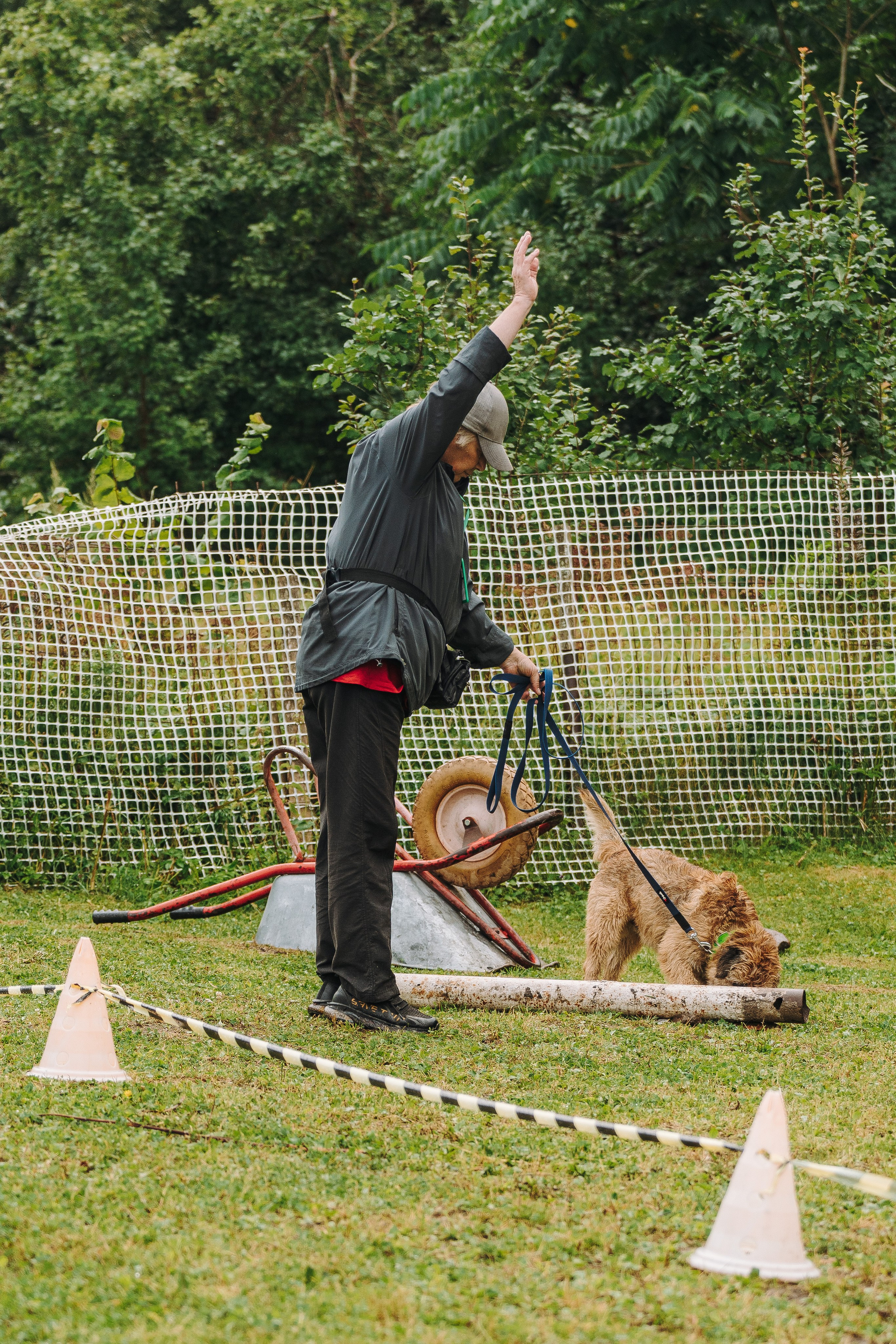 Соревнования по ноузворку в Новожилово. Фотограф анималист в Спб недорого Олеся Майорова