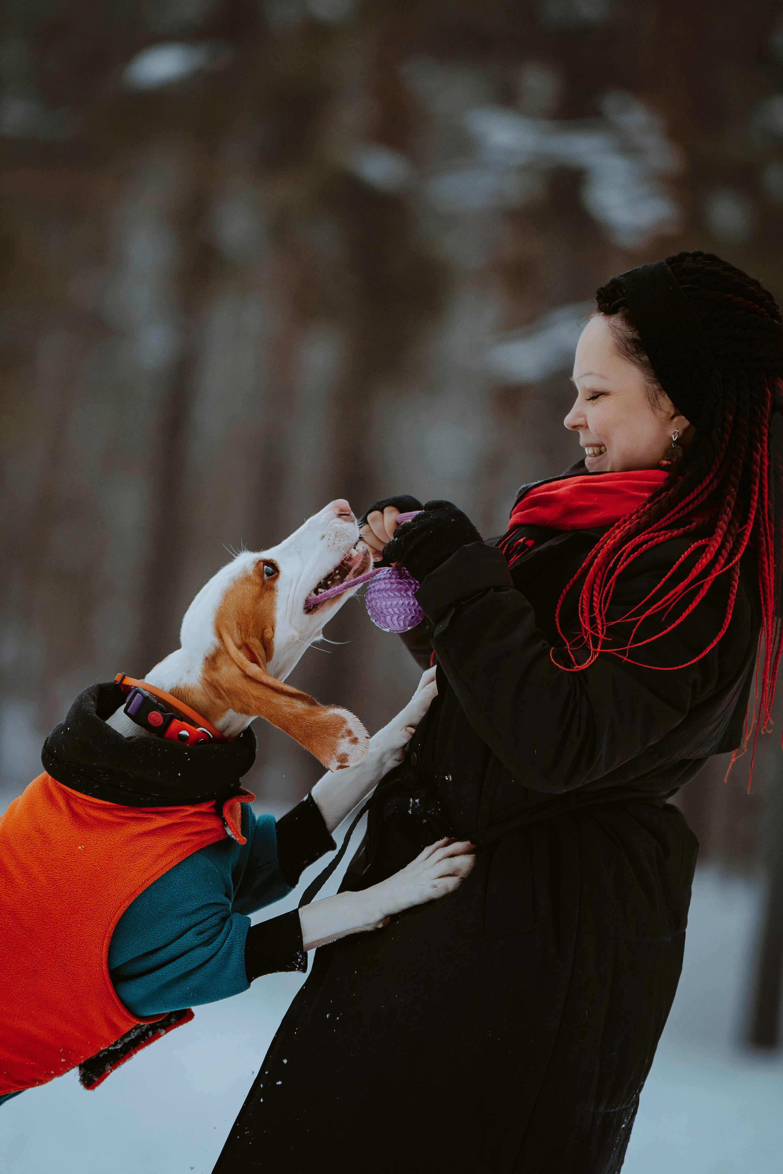 Ольга, Рора и Румпель. Фотограф анималист в Спб недорого Олеся Майорова