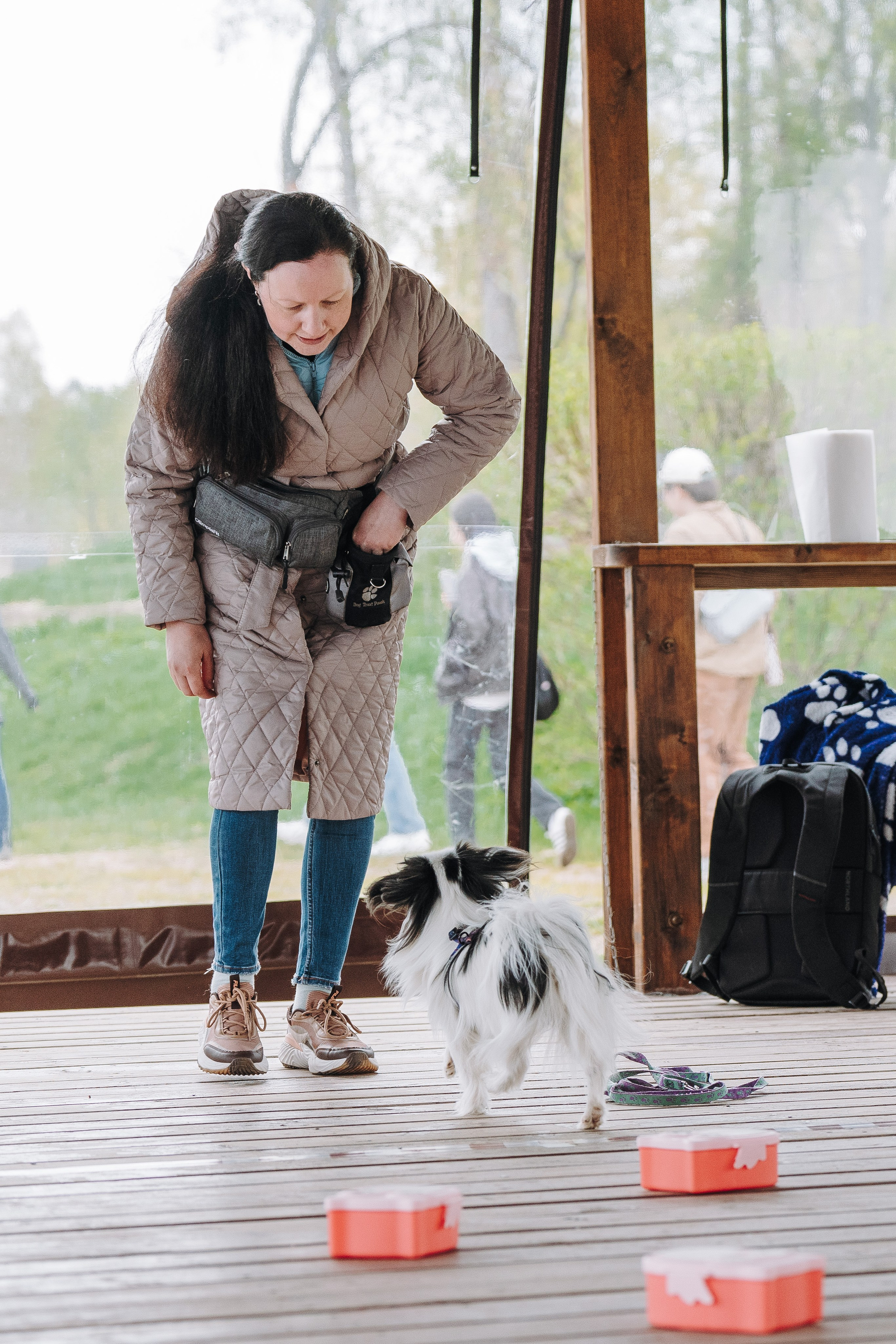 Соревнования по ноузворку в Лосево. Фотограф анималист в Спб недорого Олеся Майорова
