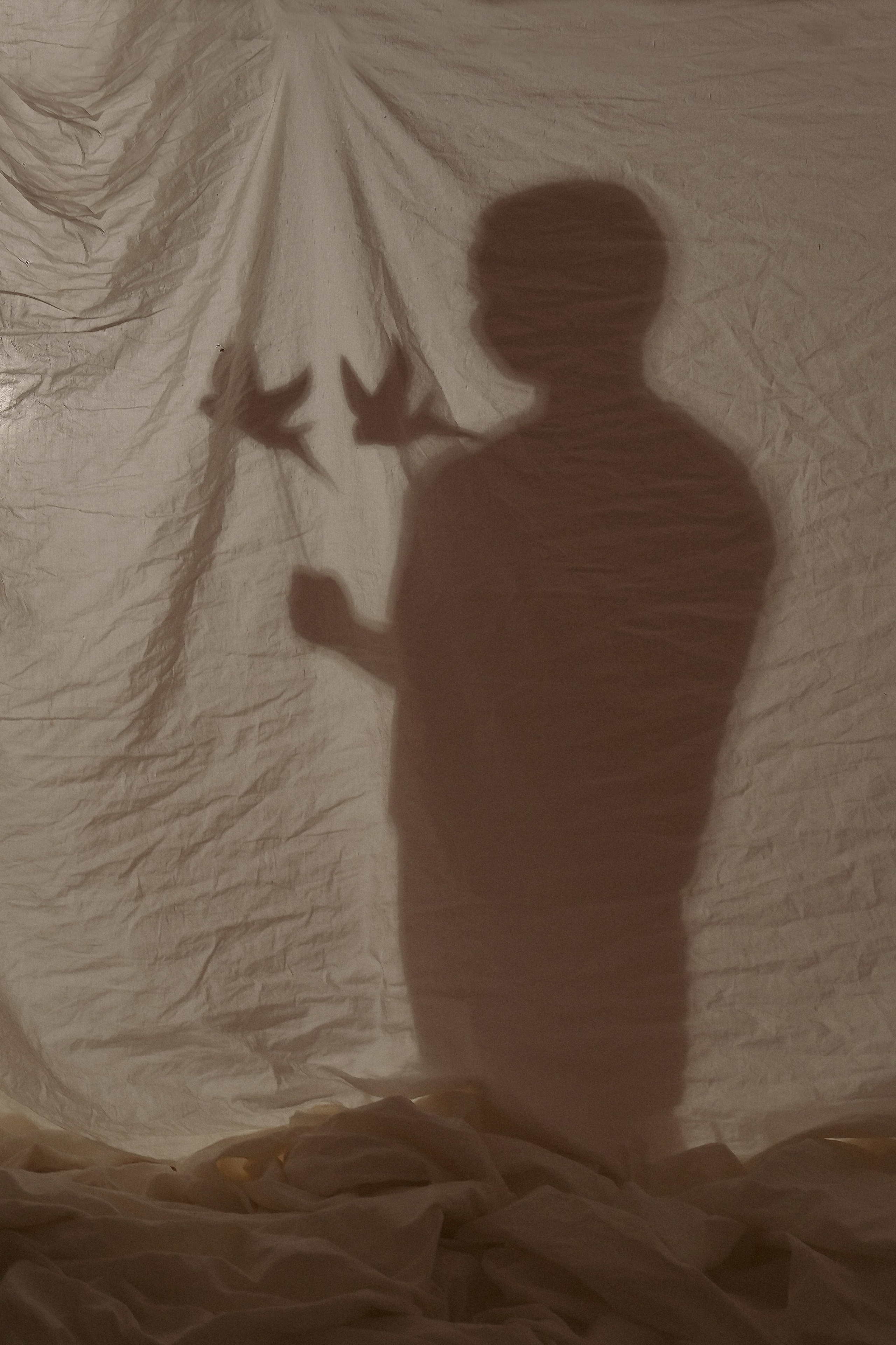 Фотопроект тень. Детский, семейный фотограф: newborn, беременность, годовасие, репортаж. Москва