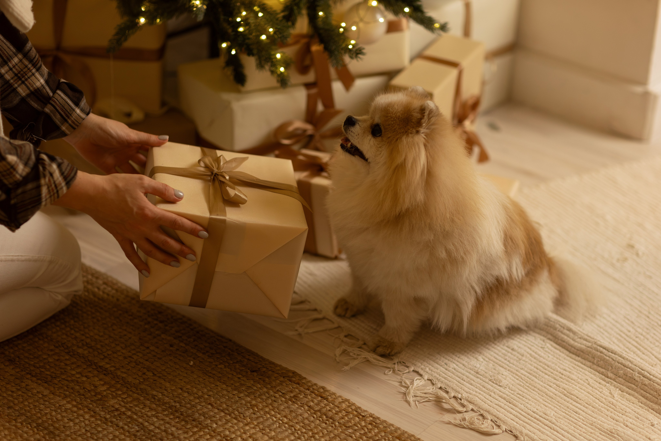 Натали и Арчибальд. Фотограф — Анималист Наталья Тямушева