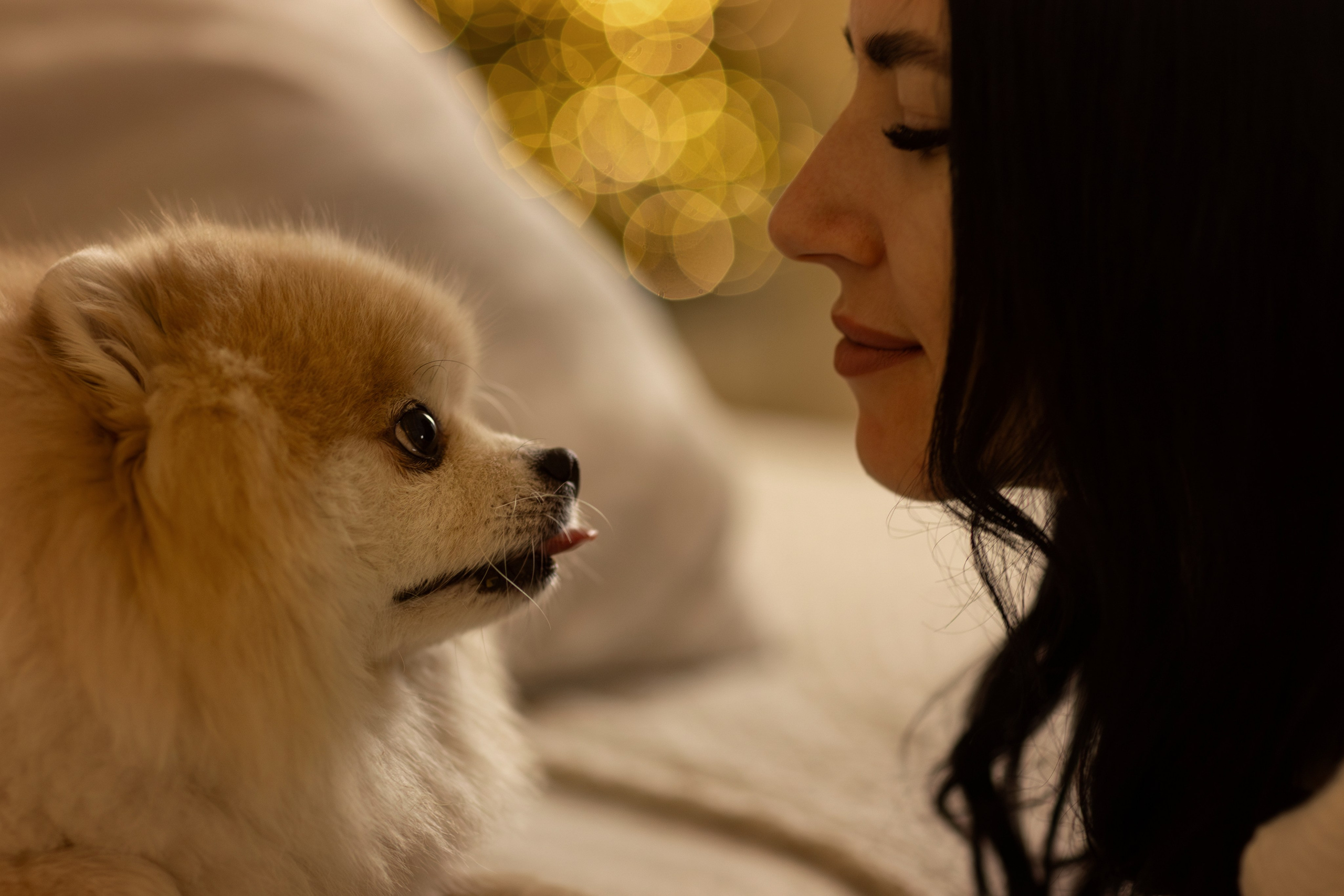 Натали и Арчибальд. Фотограф — Анималист Наталья Тямушева