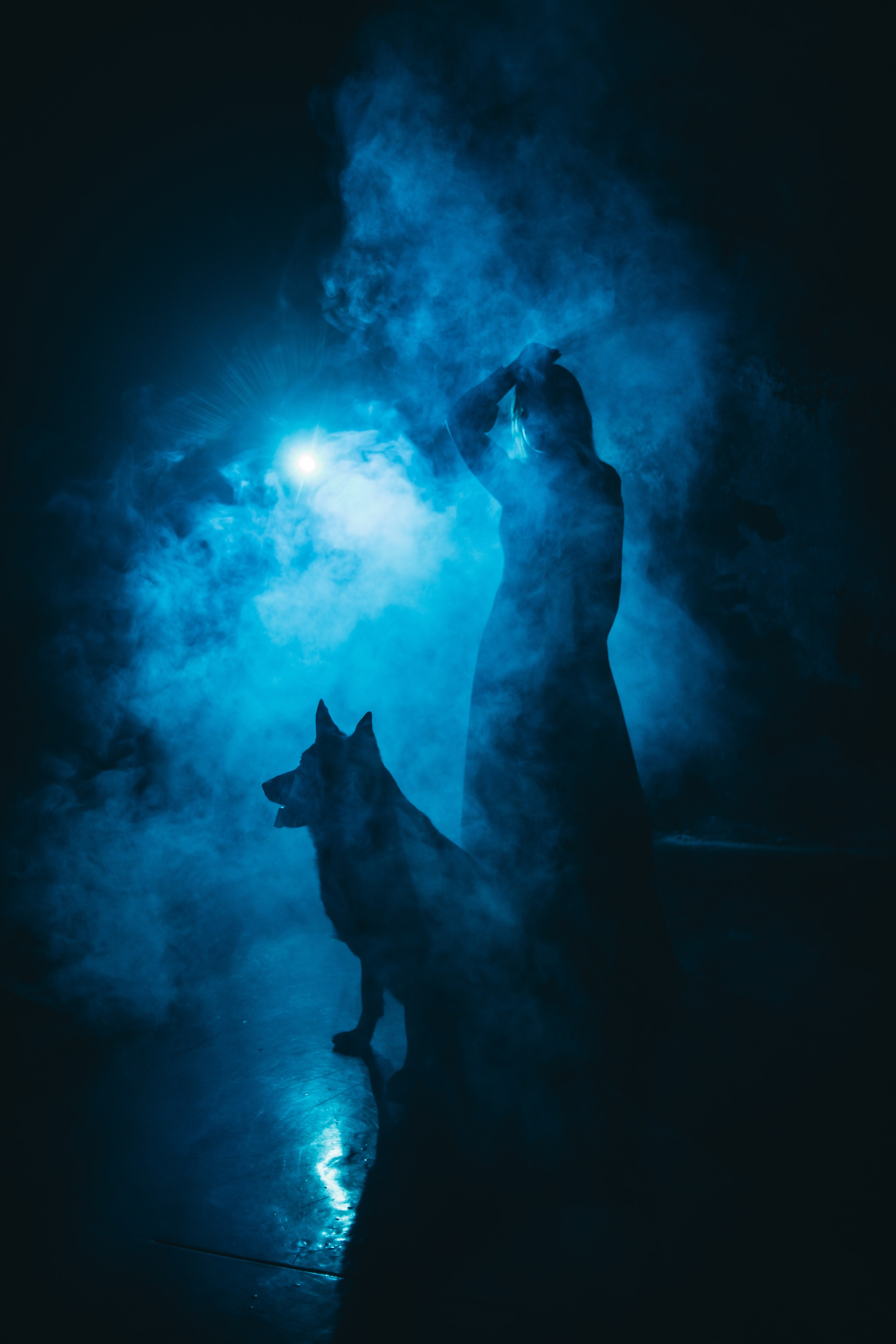 Ангелина. Заколдованный лес. Фотограф Регина Крикунова г. Красноярск