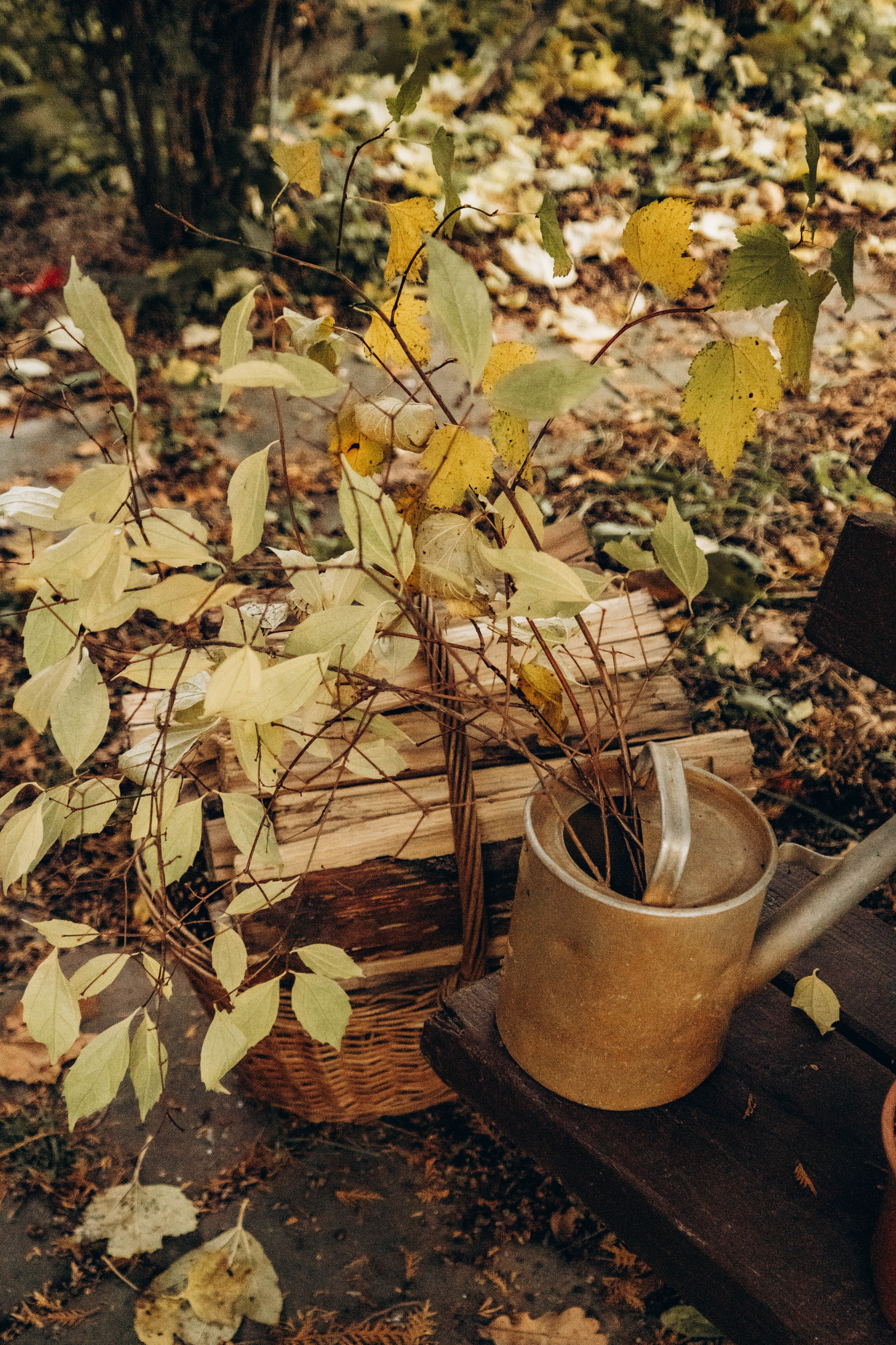 Съемка студии «Аж уютно». Фотограф Москва Валерия Веденина