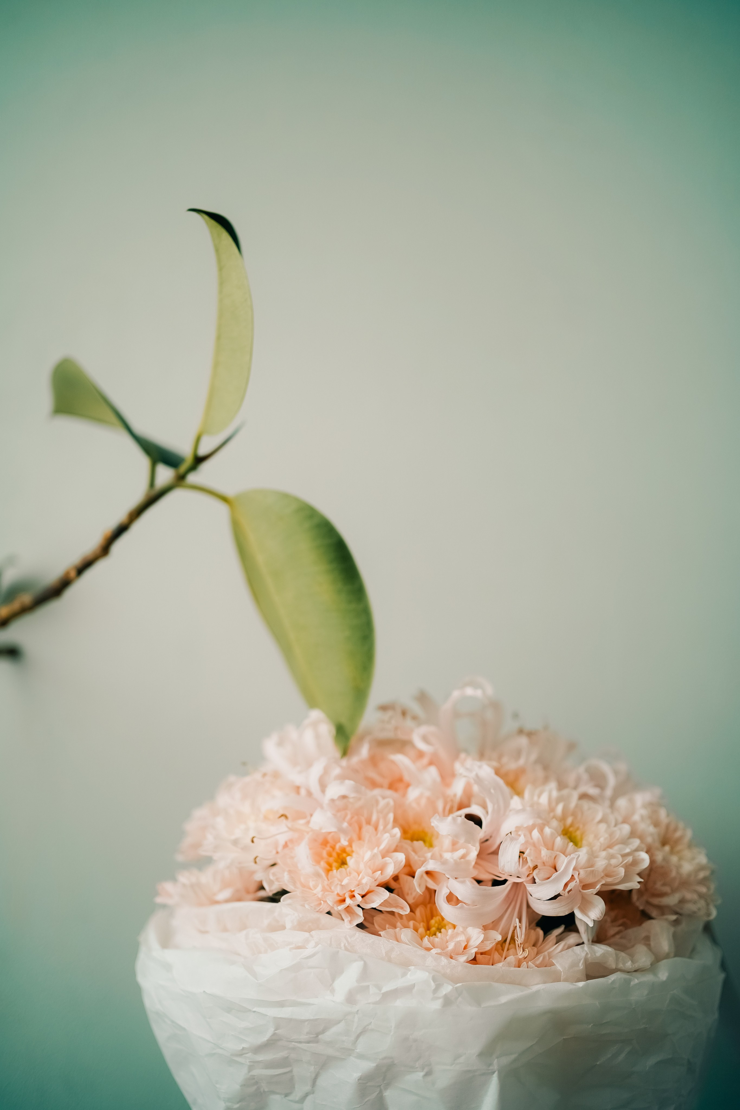 Женя и Вова. Главная