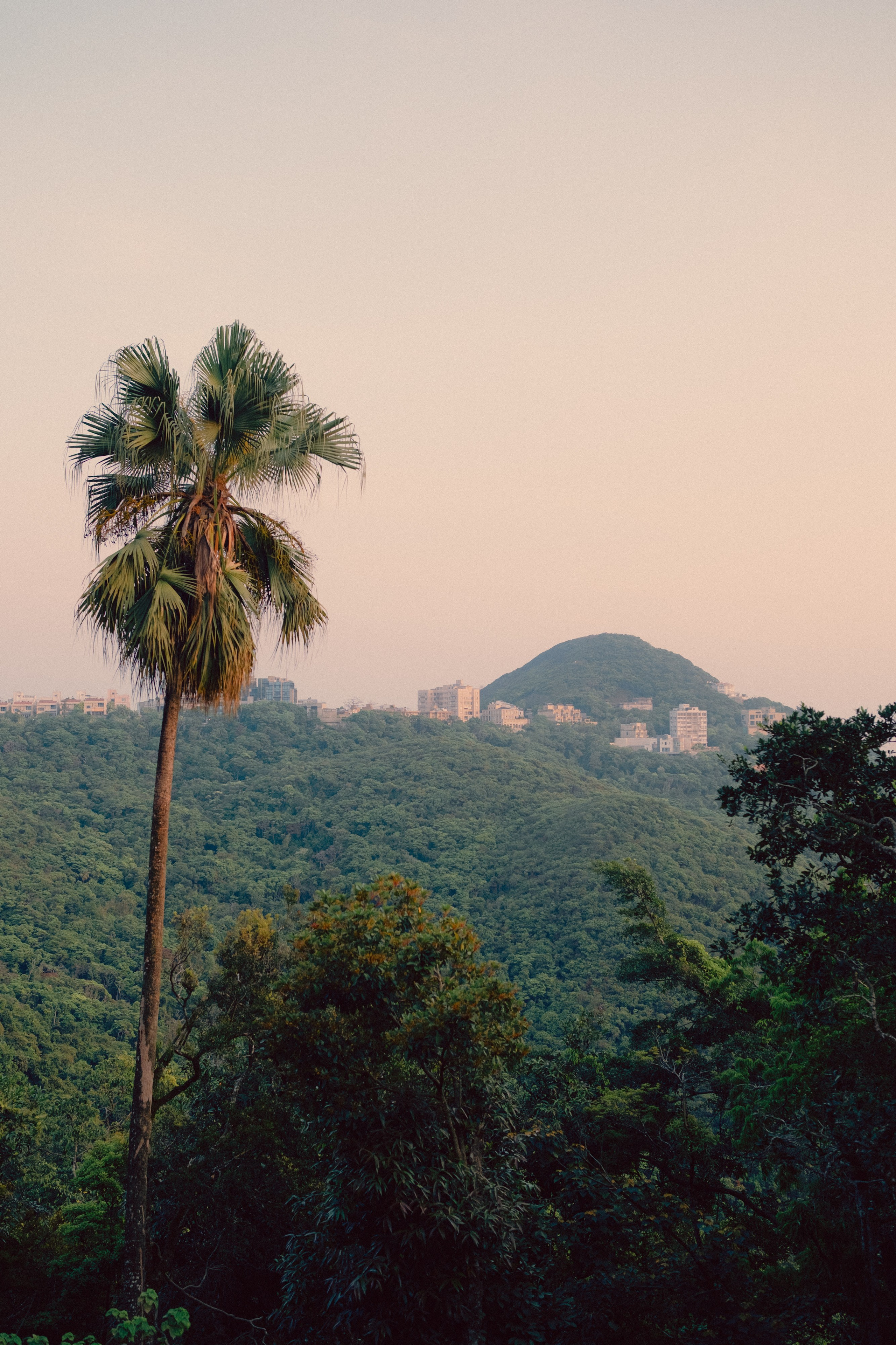 HongKong. Богдан Голубков — фотограф (notbogdang)