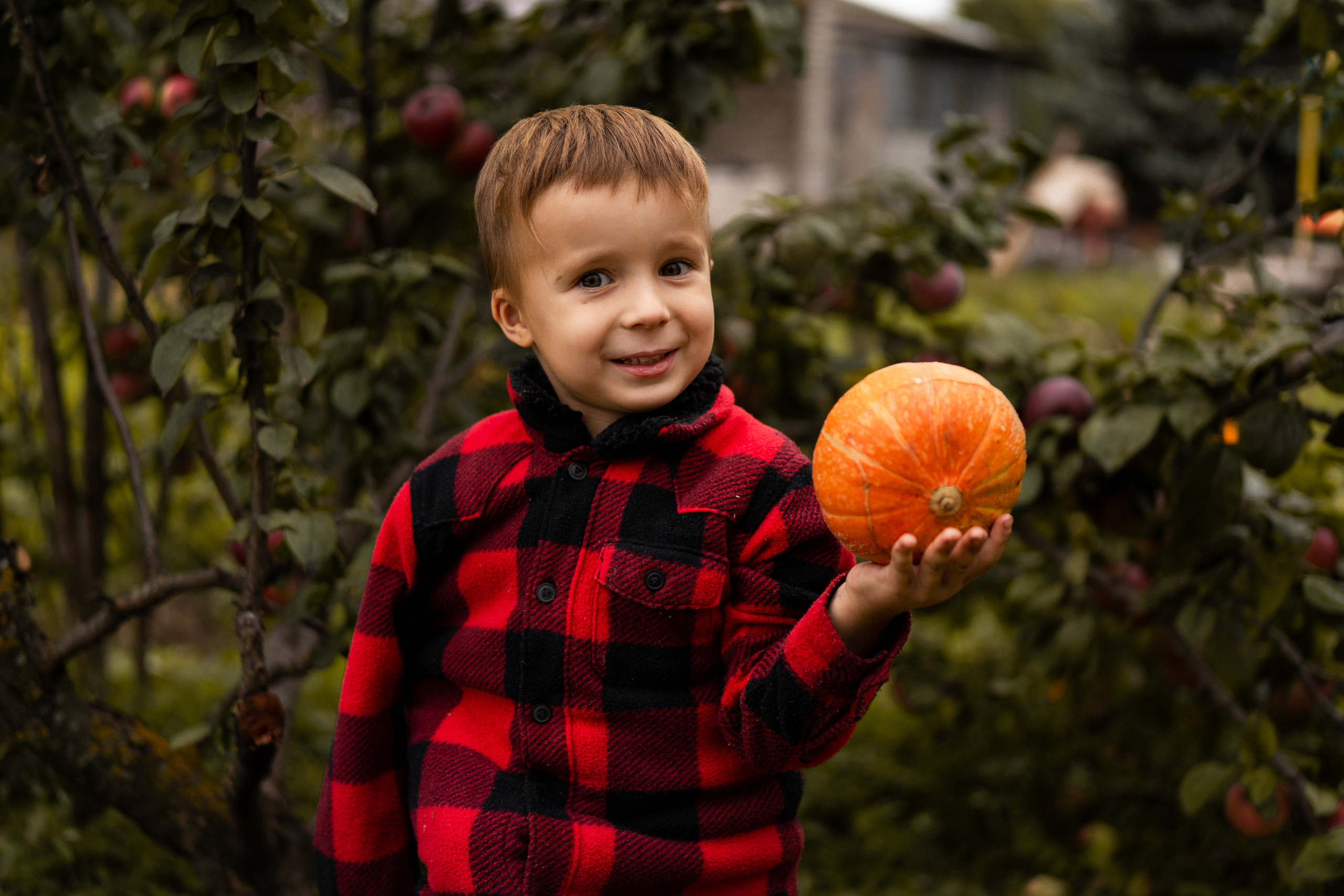 Тыковки. Главная