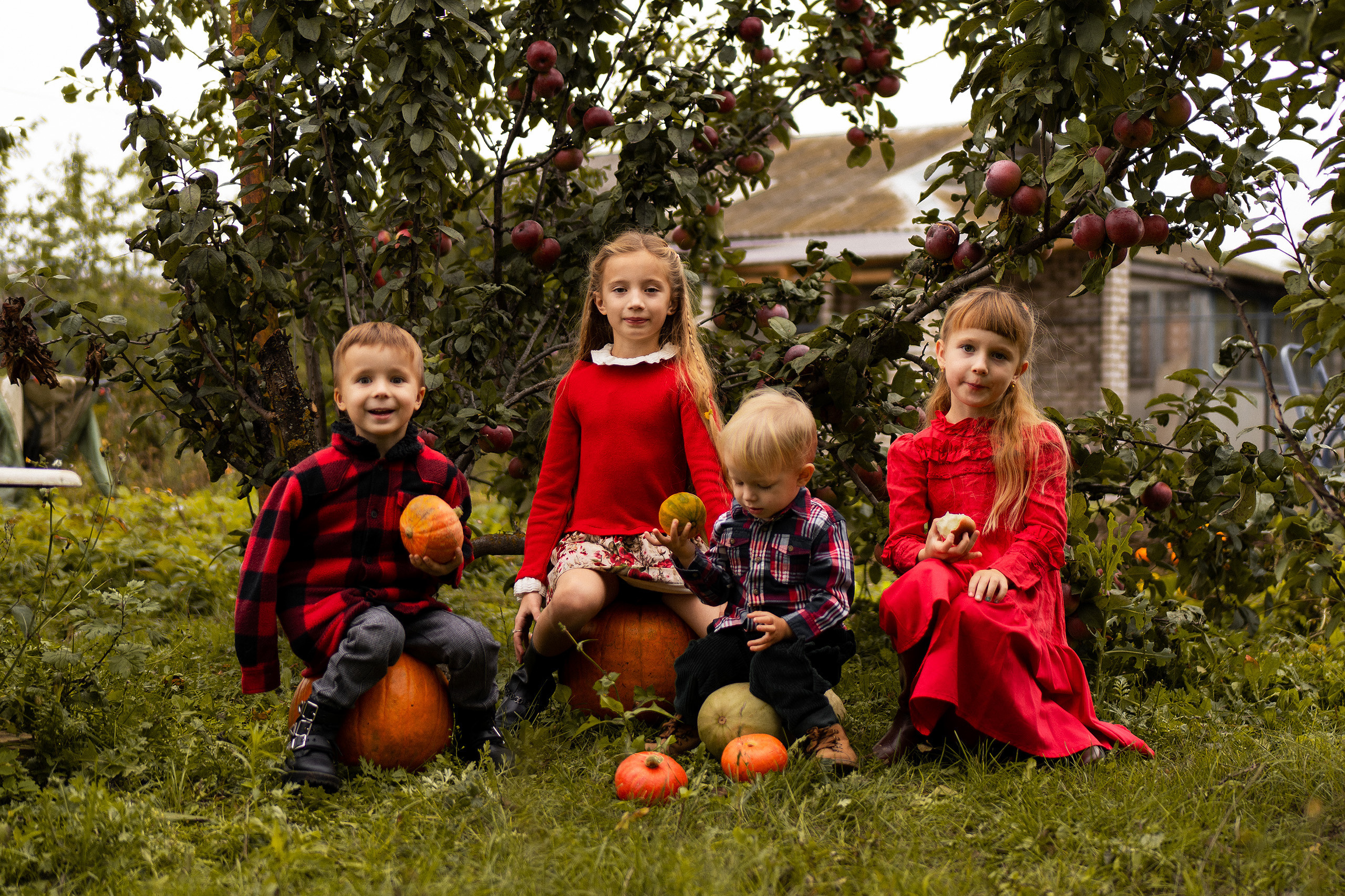 Тыковки. Главная