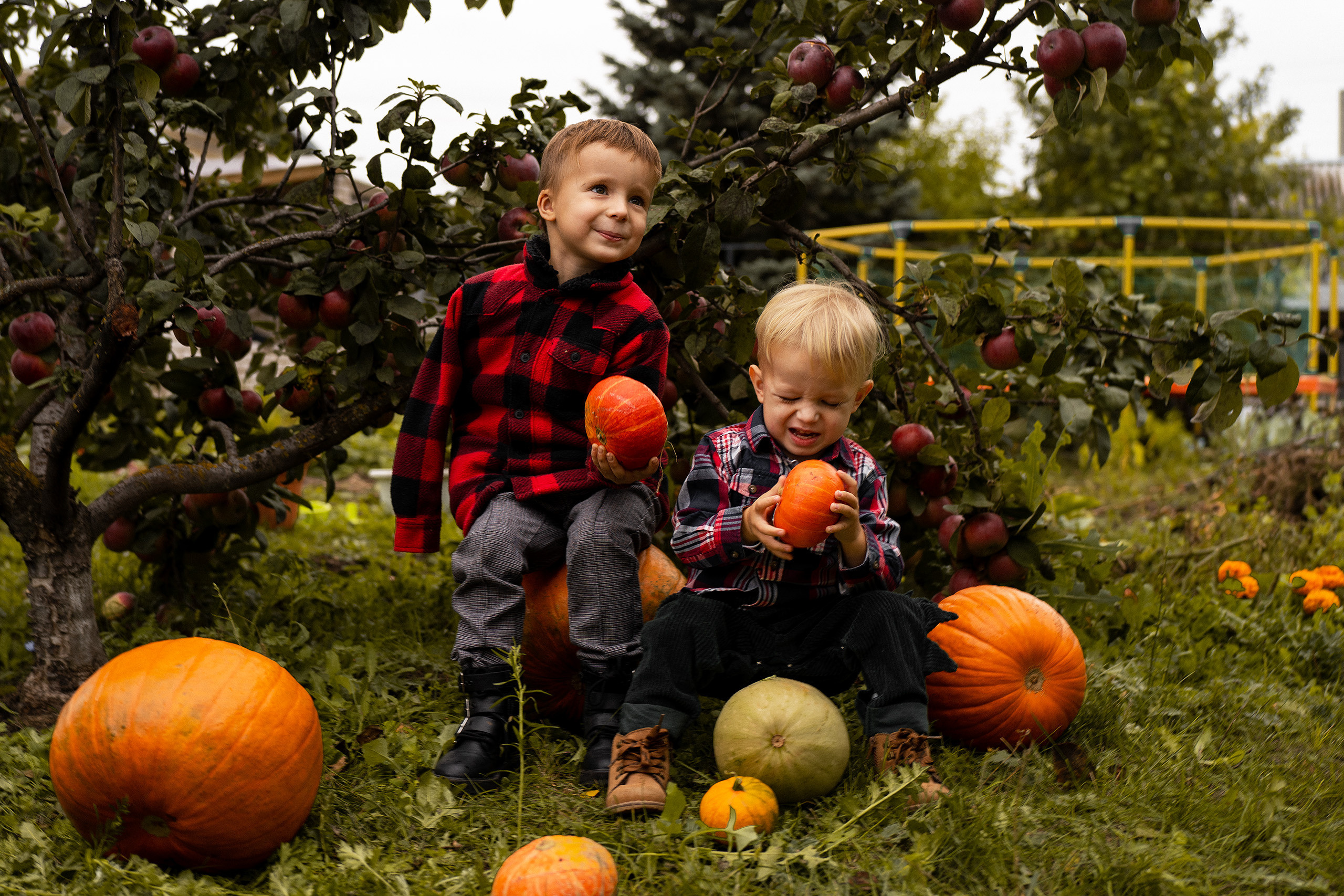 Тыковки. Главная
