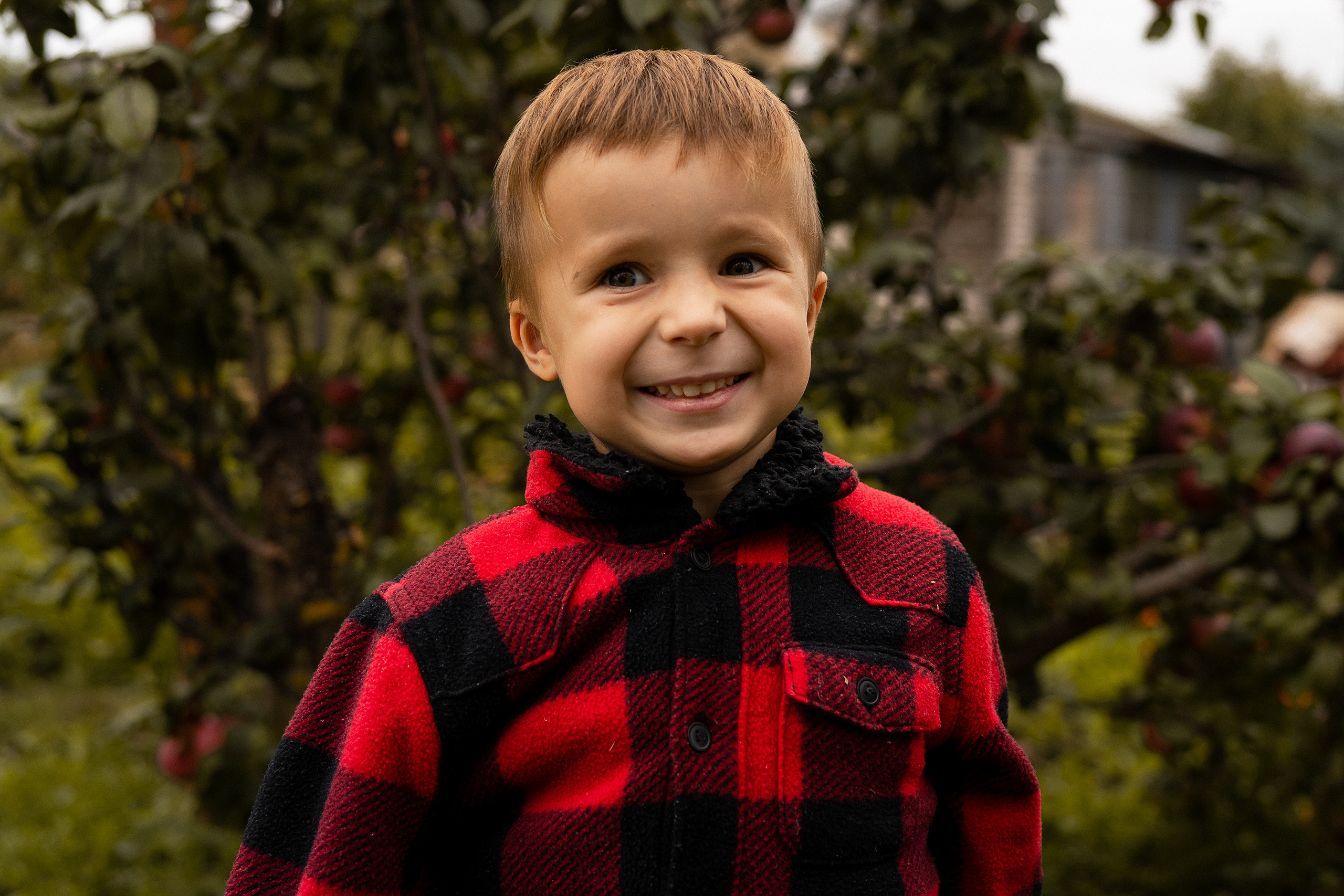 Тыковки. Главная