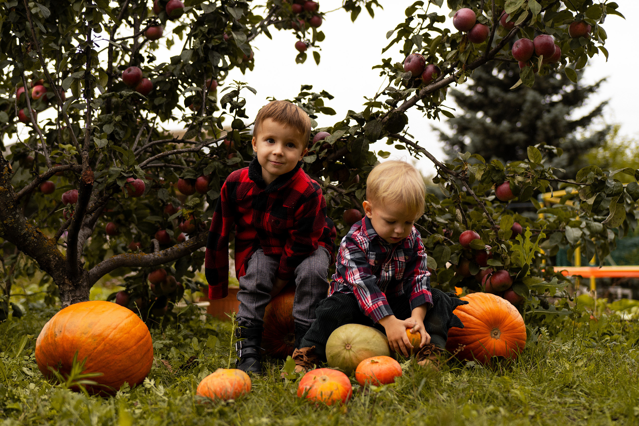 Тыковки. Главная