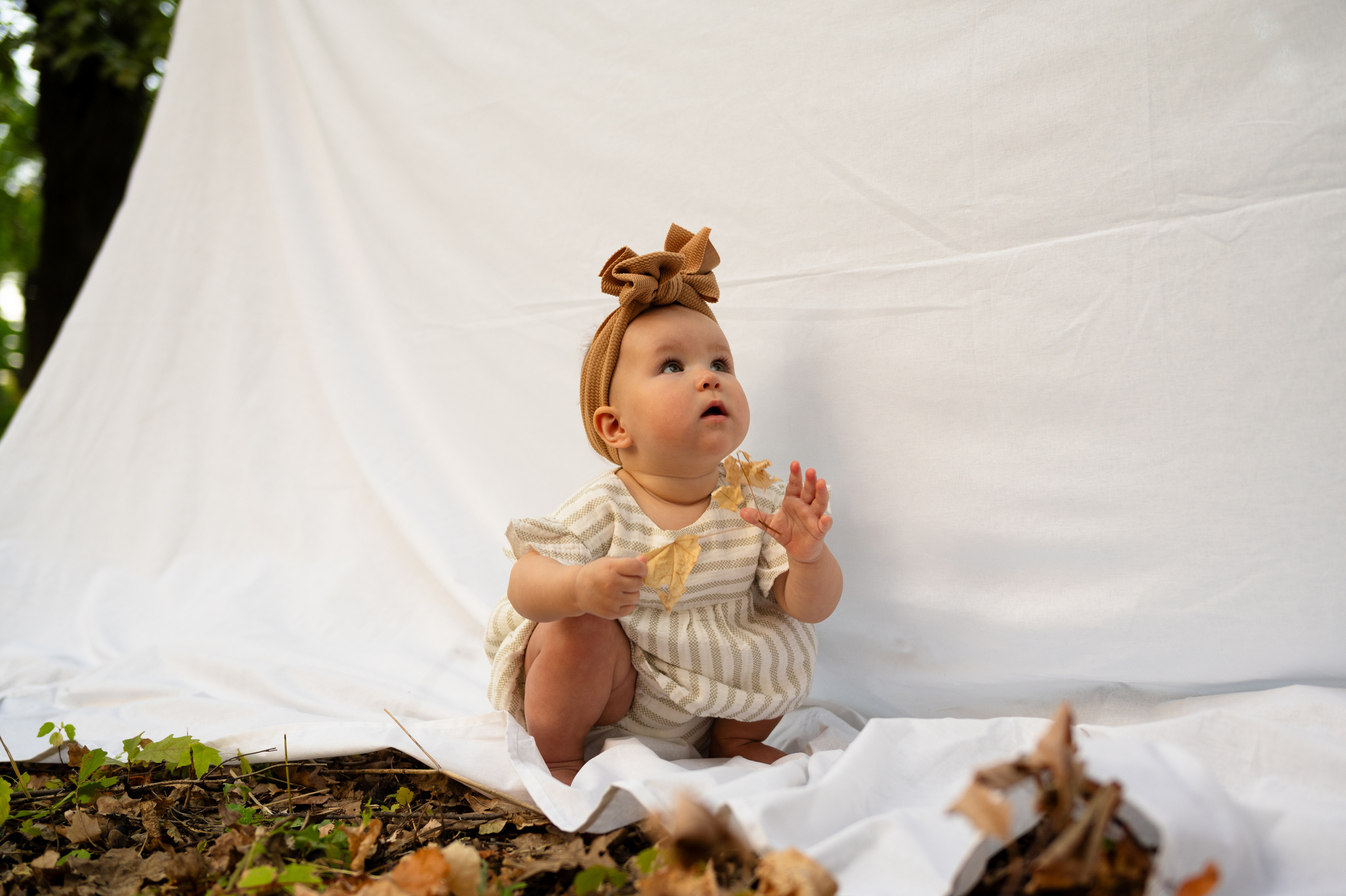 Загородный парк. Главная