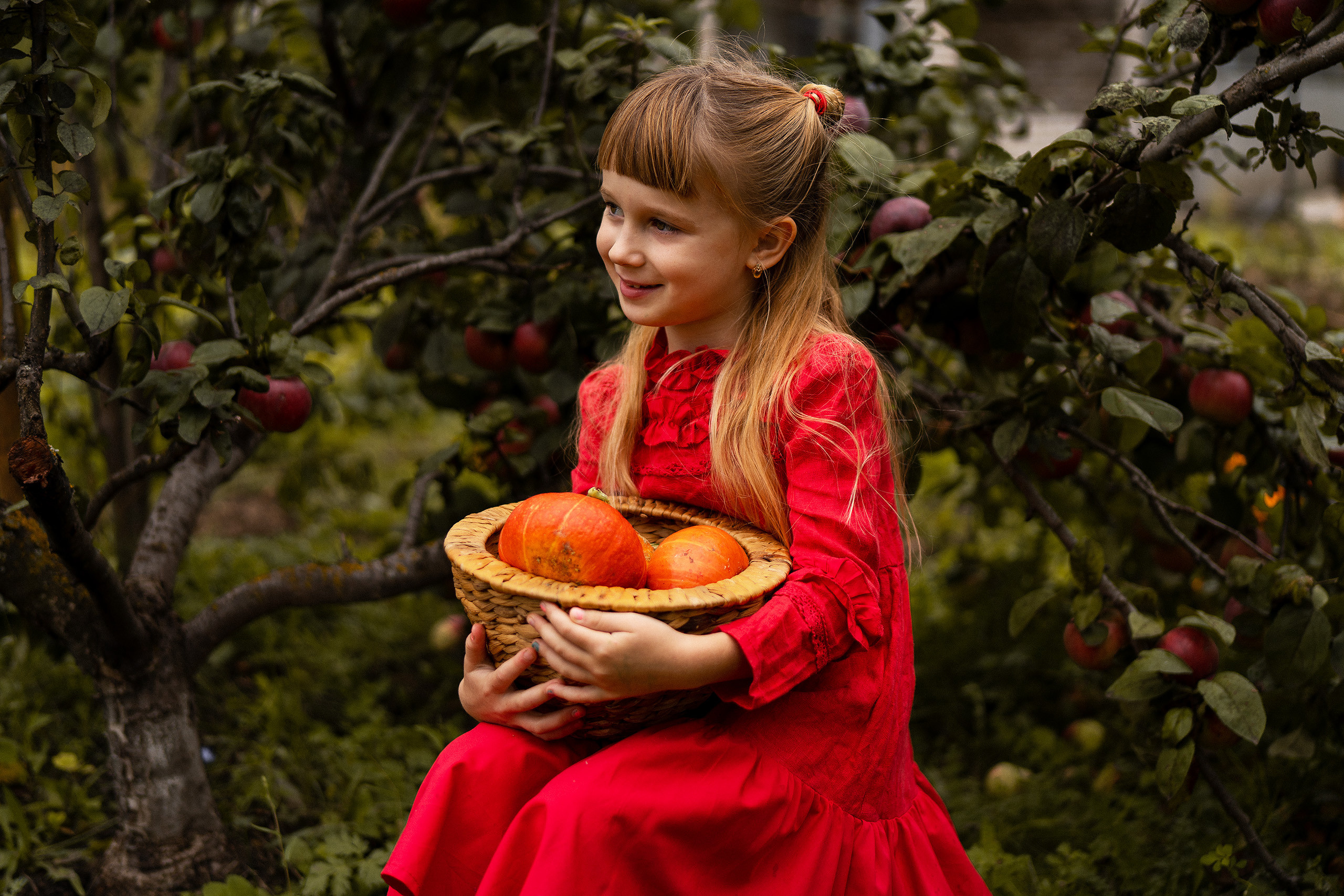 Тыковки. Главная