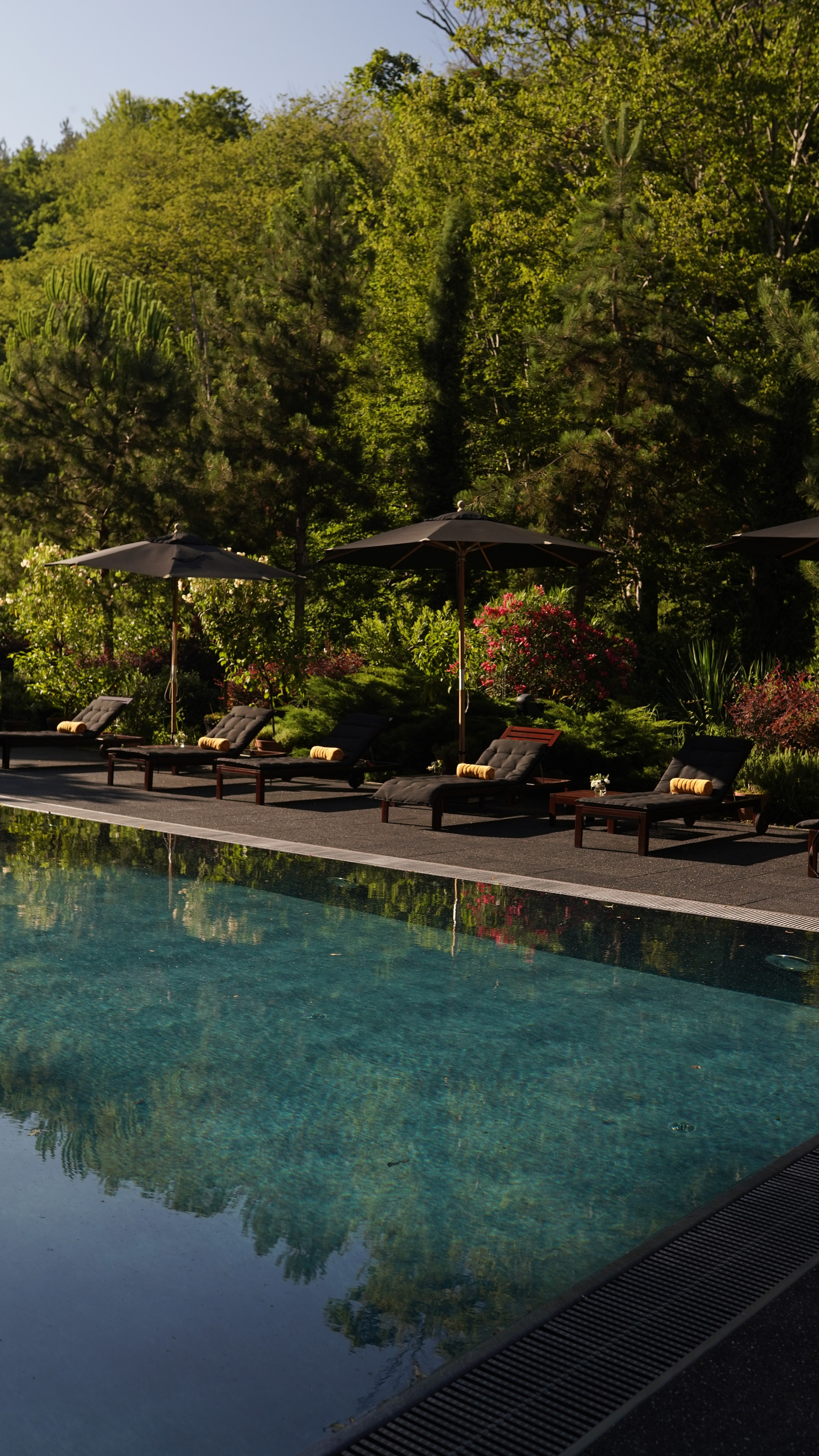 Мамай-Кале — Ресторан в лесу. Милана Довгаль - семейный фотограф и видеограф  в Адлере и Сочи