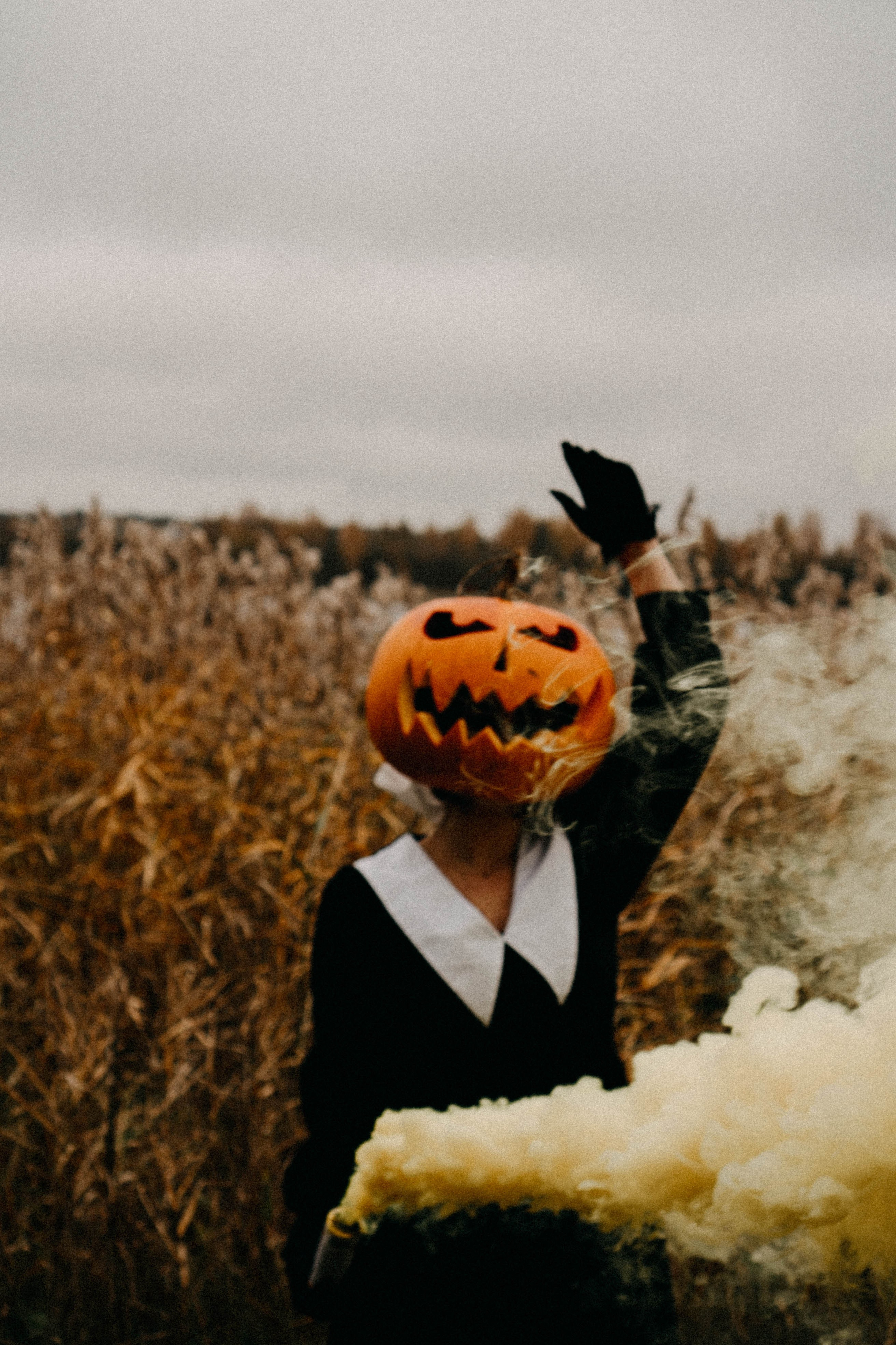 Осеняя. Профессиональный фотограф, Санкт-Петербург — Виктория Богомолова