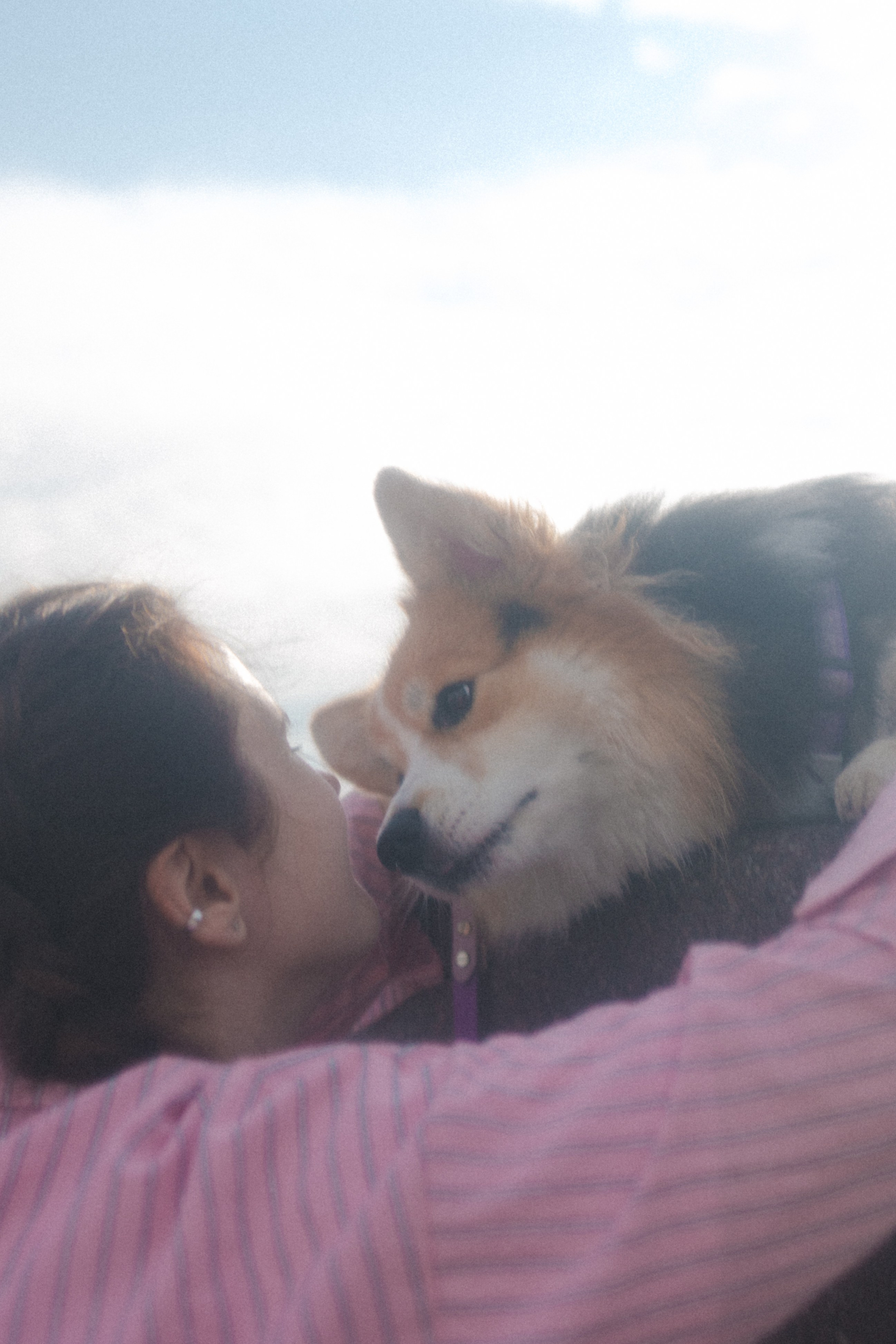 Мишель и Влада. Фотораф — анималист Мария Шистка