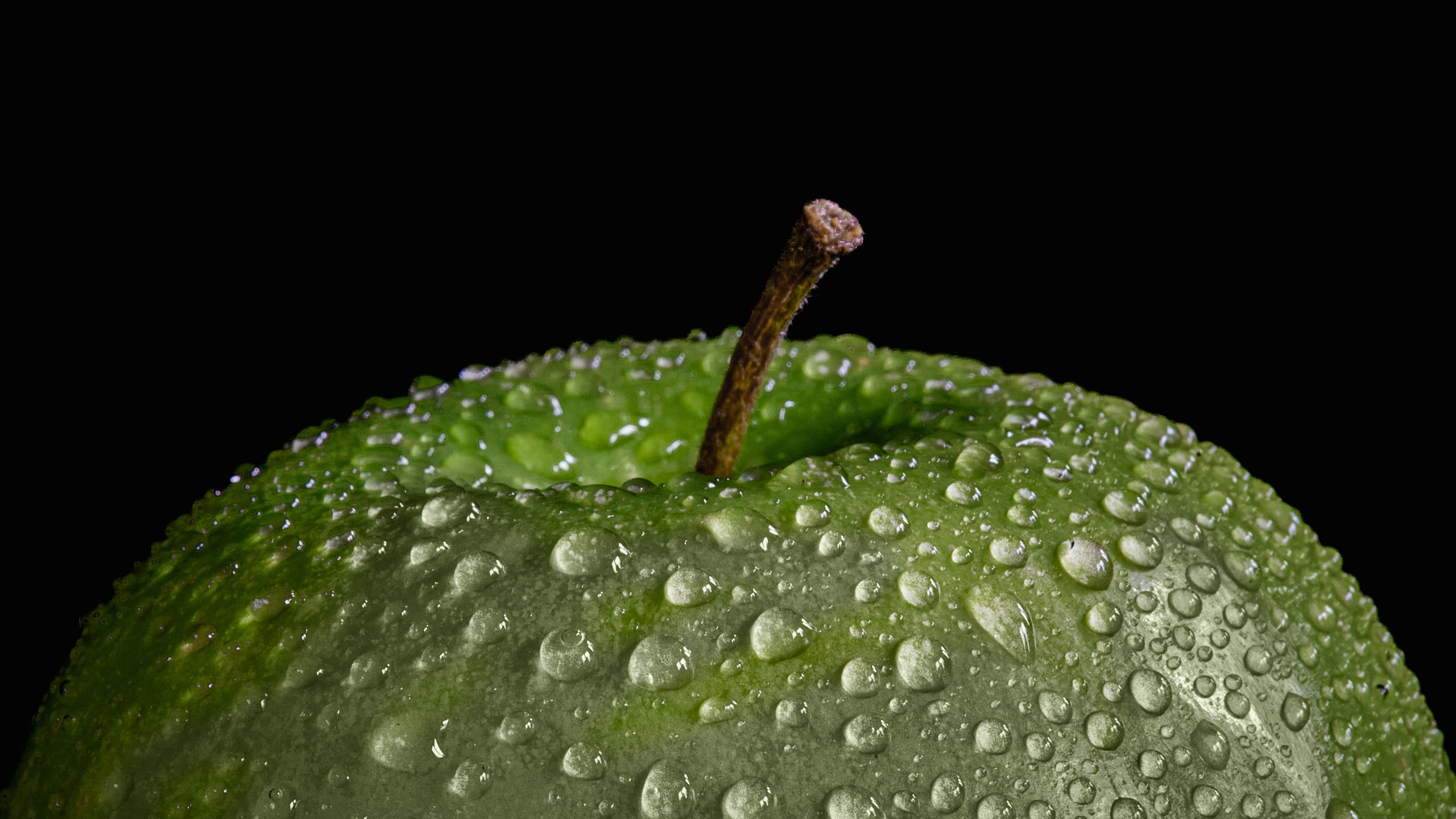 Предметная съемка. Пейзажный и семейный фотограф в Санкт-Петербурге Александр Белов