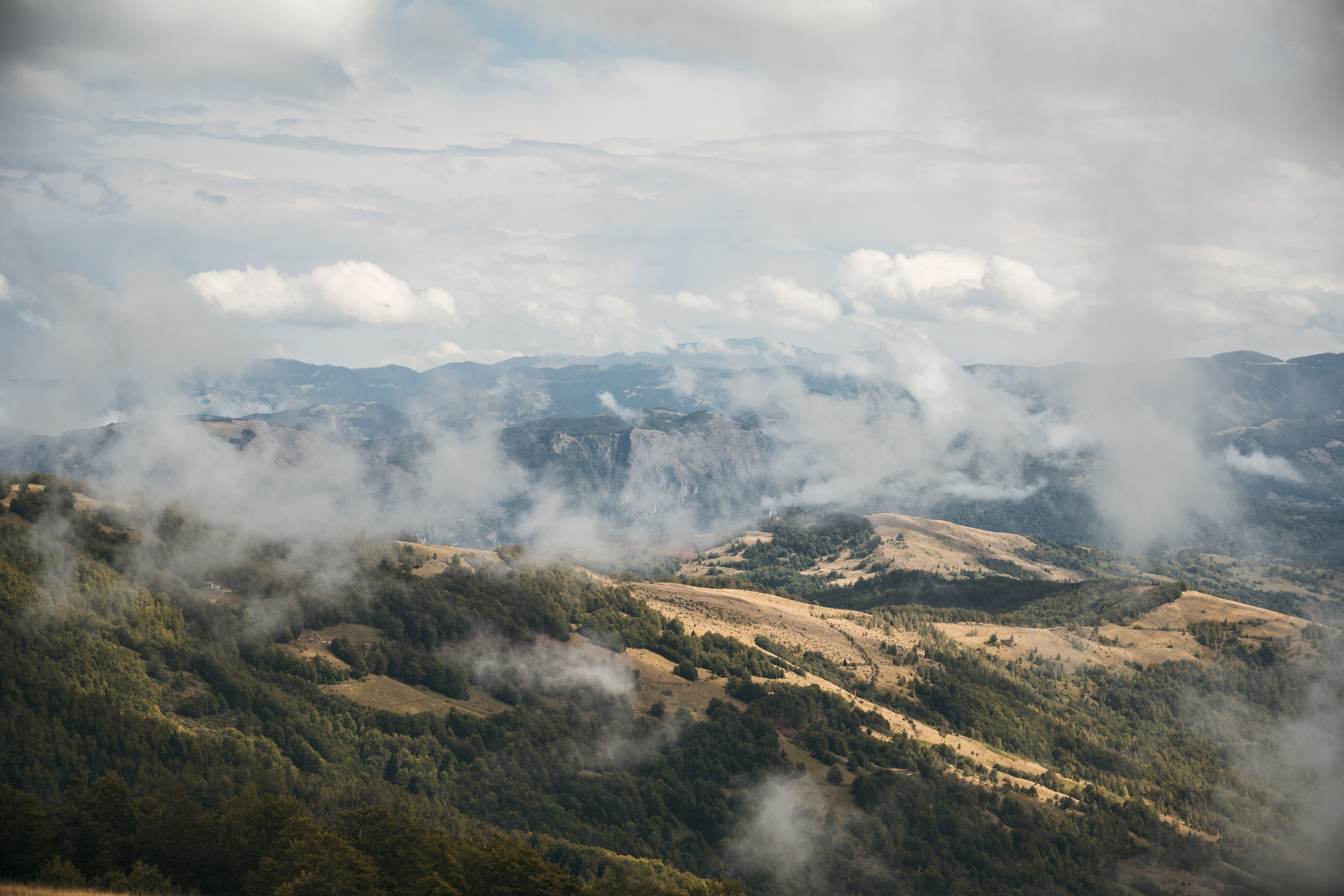 ГОРЫ КОМОВИ. ЧЕРНОГОРИЯ. Фотограф в Белграде Чугреева Елена