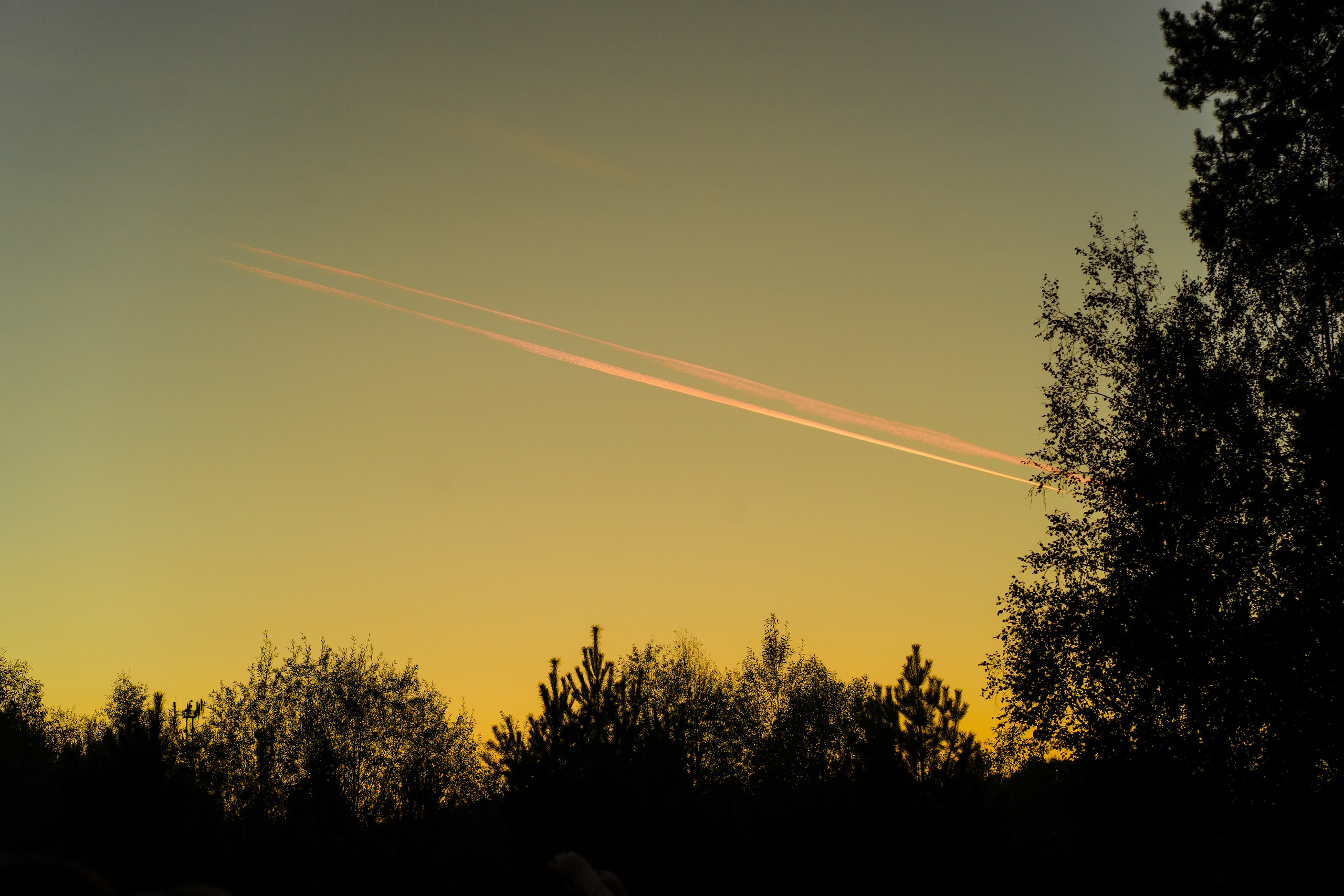 Алёна и Андреас. Фотограф в Москве Кондратьева Кристина