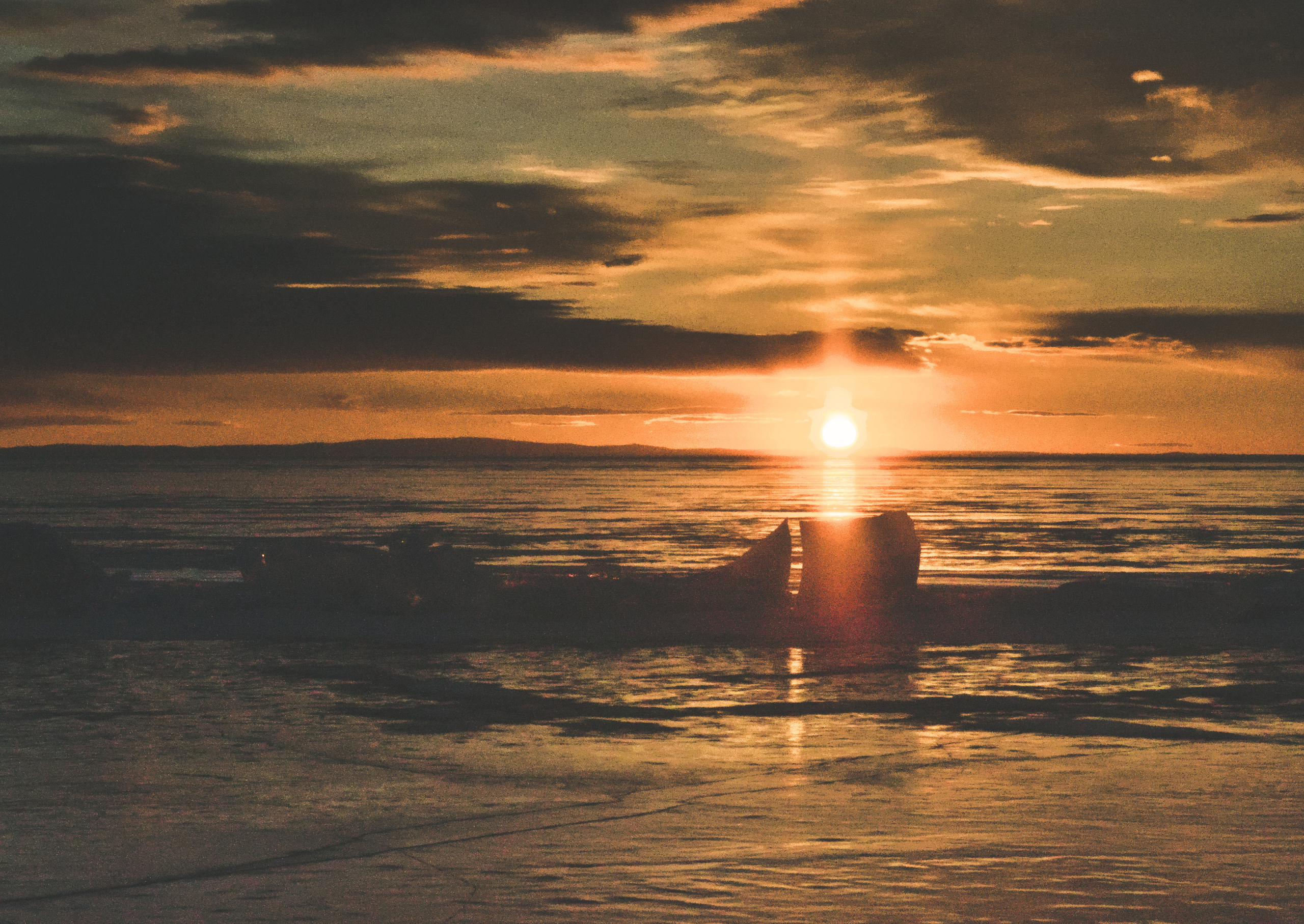 Бакал. Фотограф анималист, пейзажист, спортивные мероприятия. Новосибирск