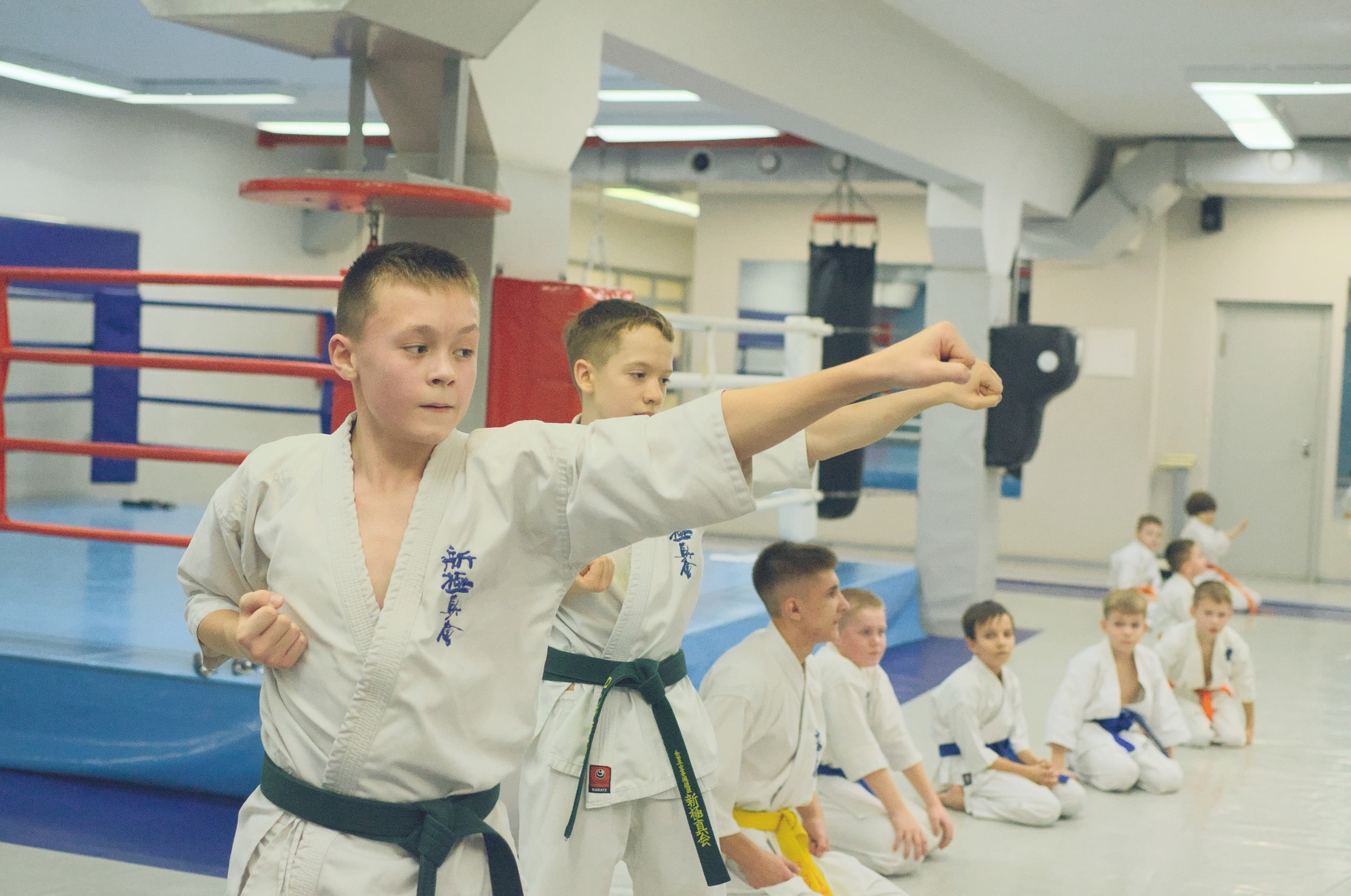 Карате Киоку синкай Новосибирск. Репортажная фотография
