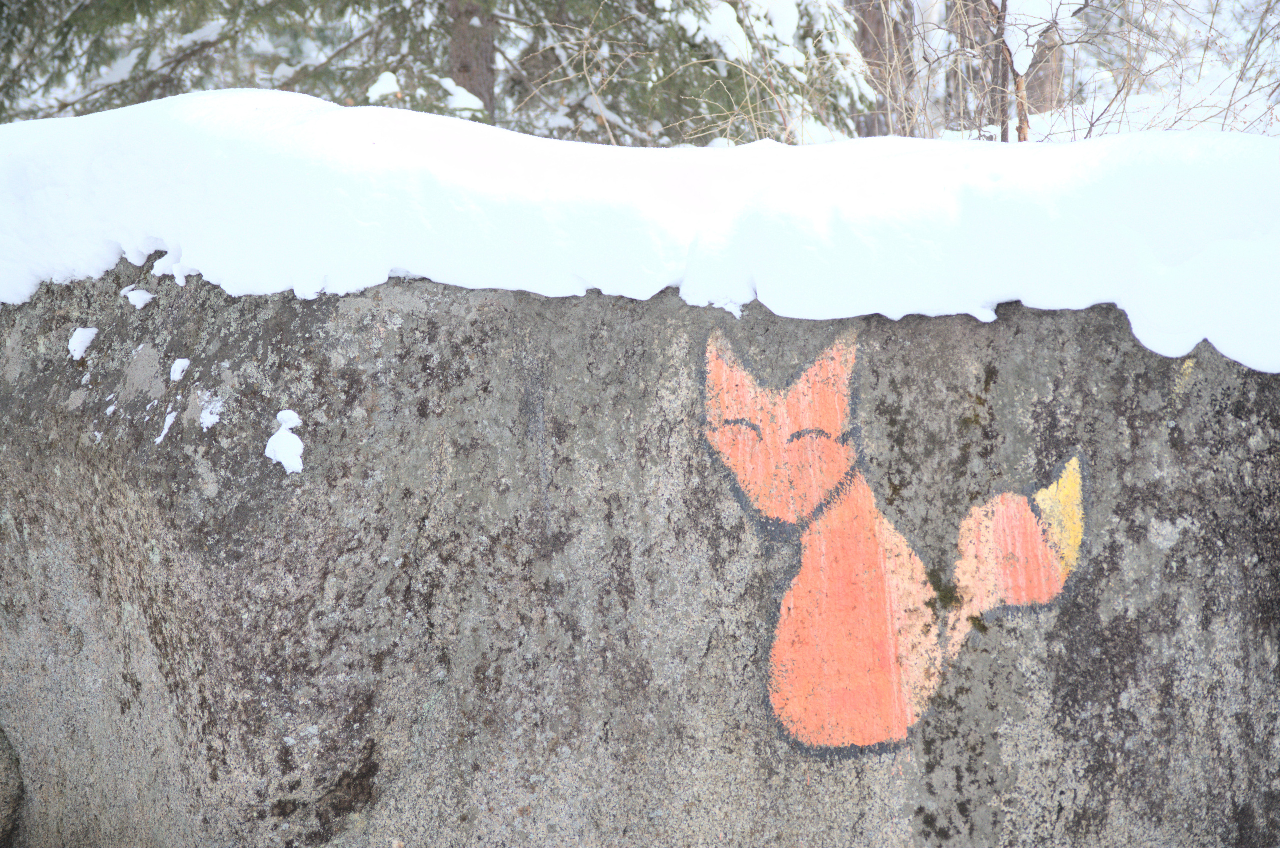 Рисунок лисы. Олхинское плато