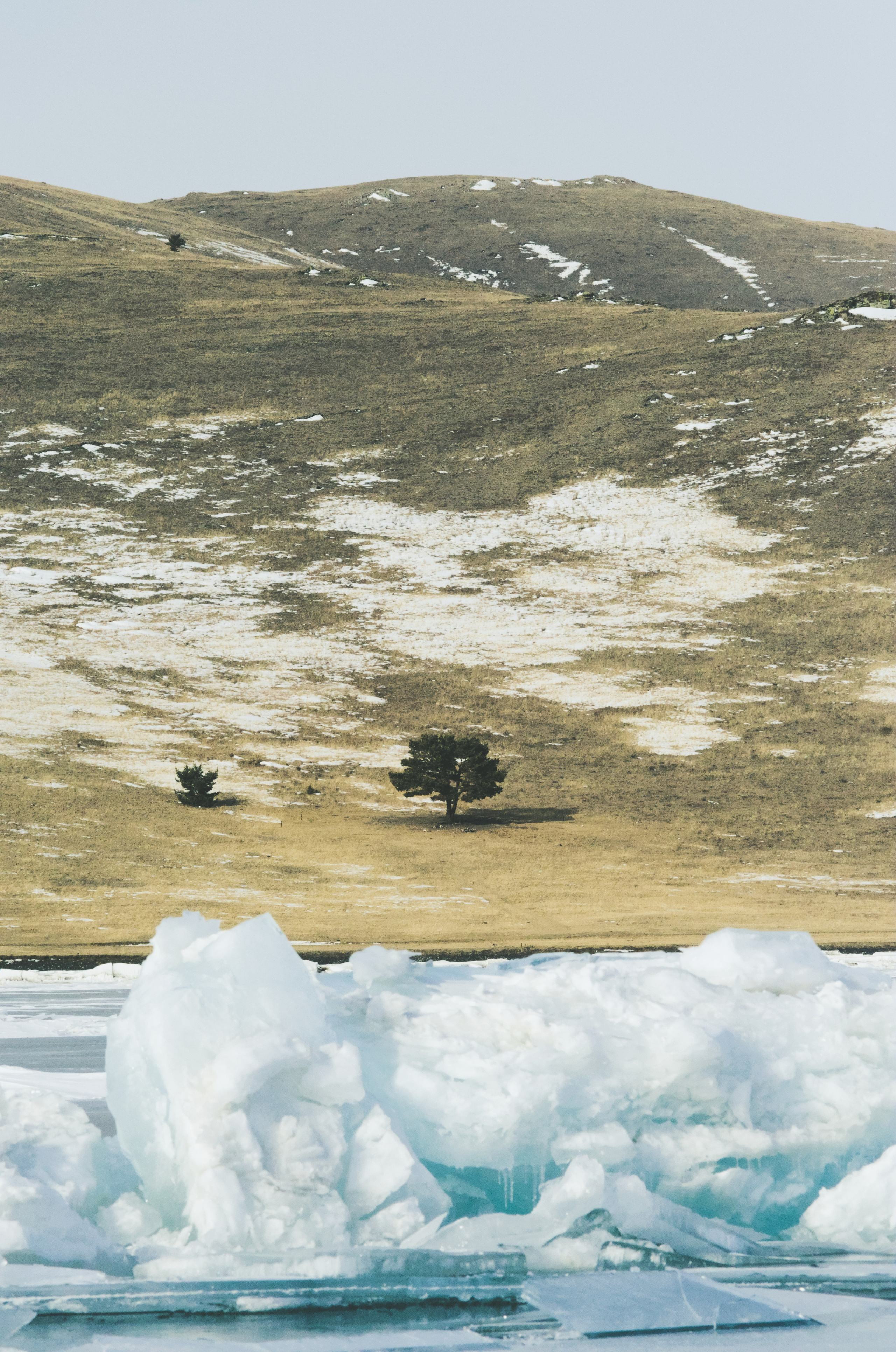 Бакал. Фотограф анималист, пейзажист, спортивные мероприятия. Новосибирск