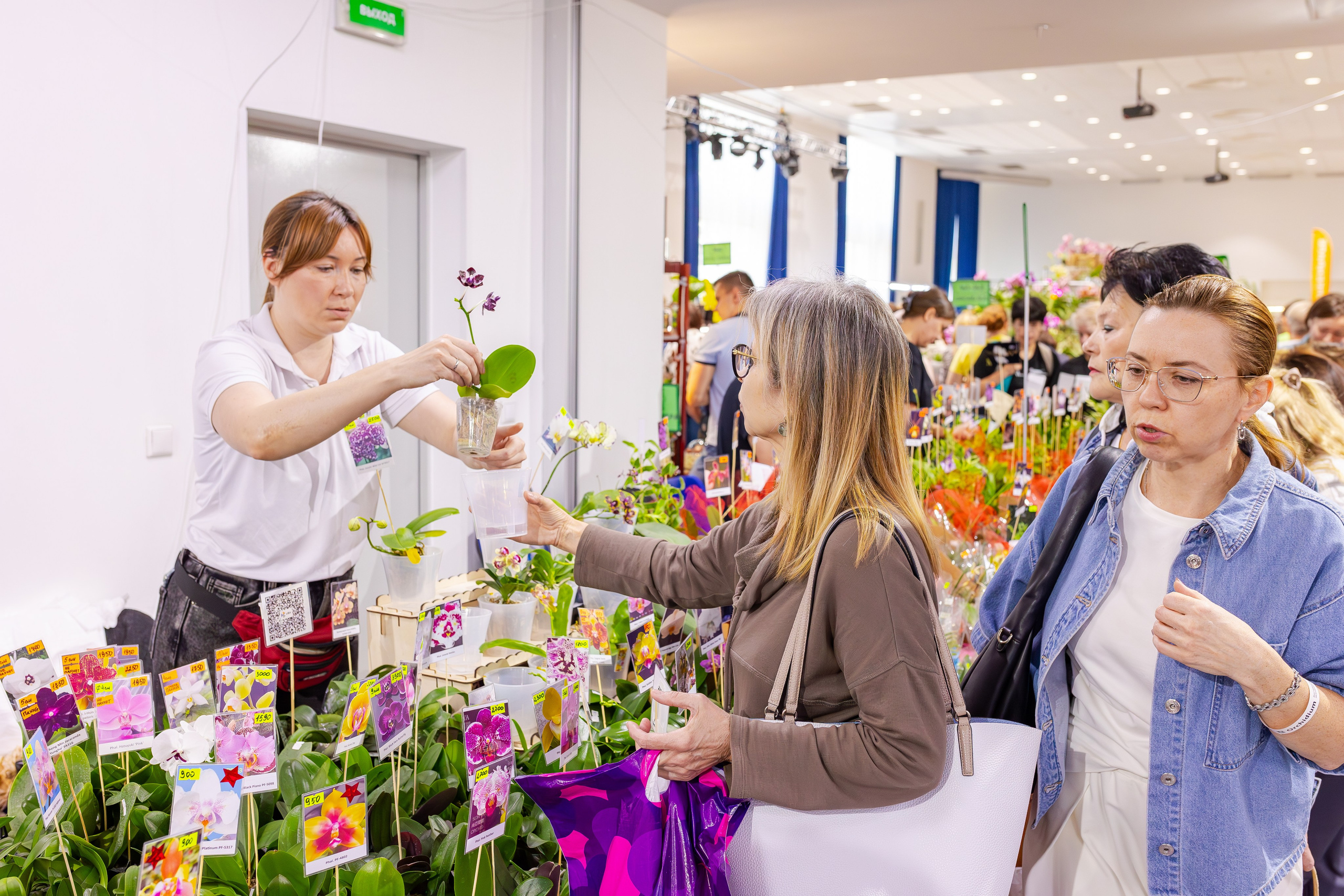 Орхидиум сентябрь 2025. Александра Куликова фотограф, Москва