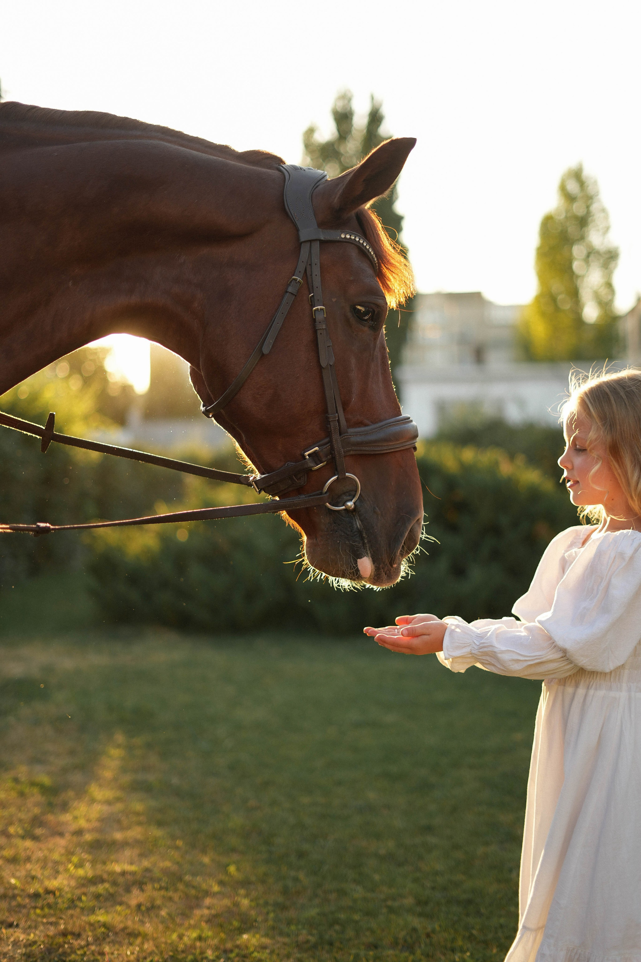 Мила. Фотограф Волгоград Анастасия Ли