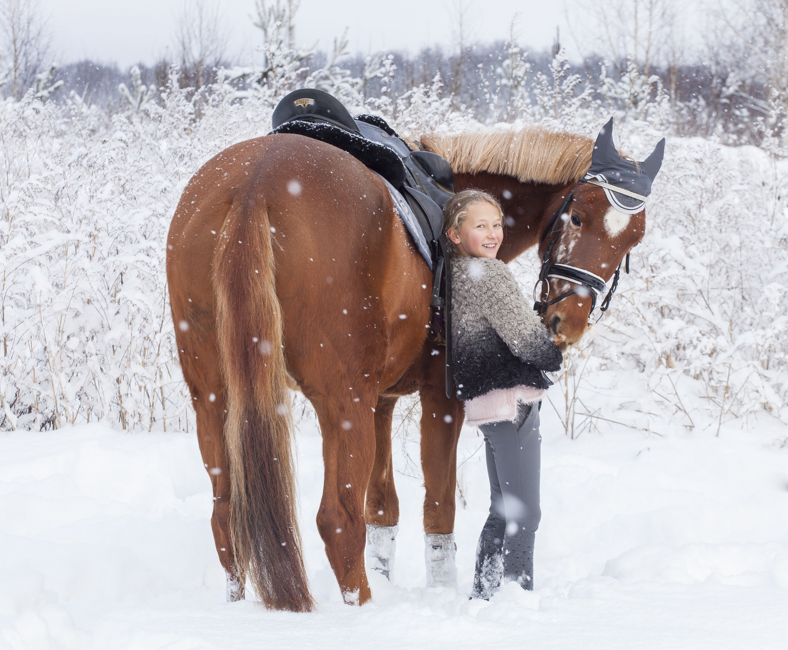 Зимние фотосессии. Конный фотограф Юлия Дроздова