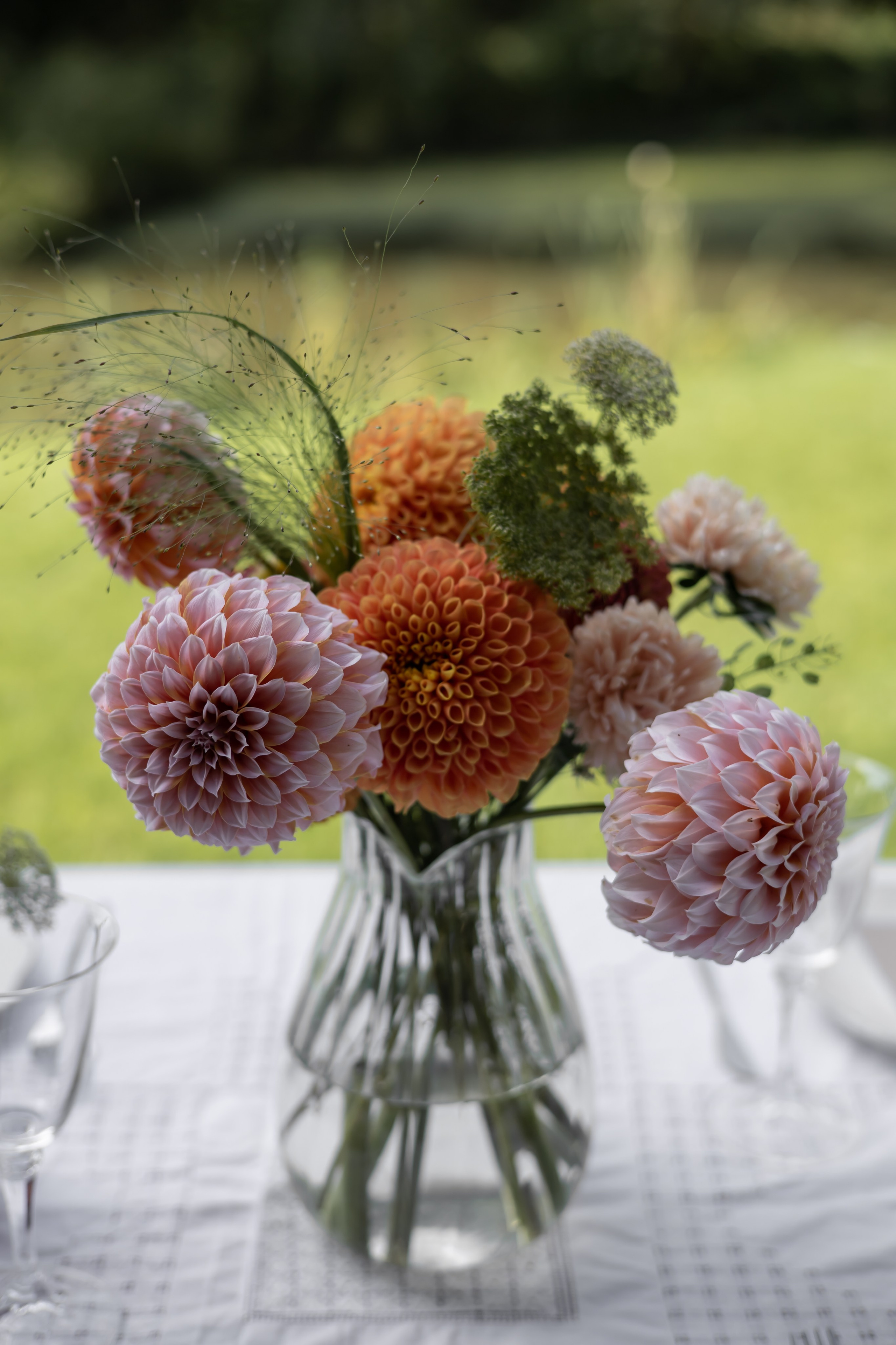 ДИНИЯ. Фотограф Элла Ефимова