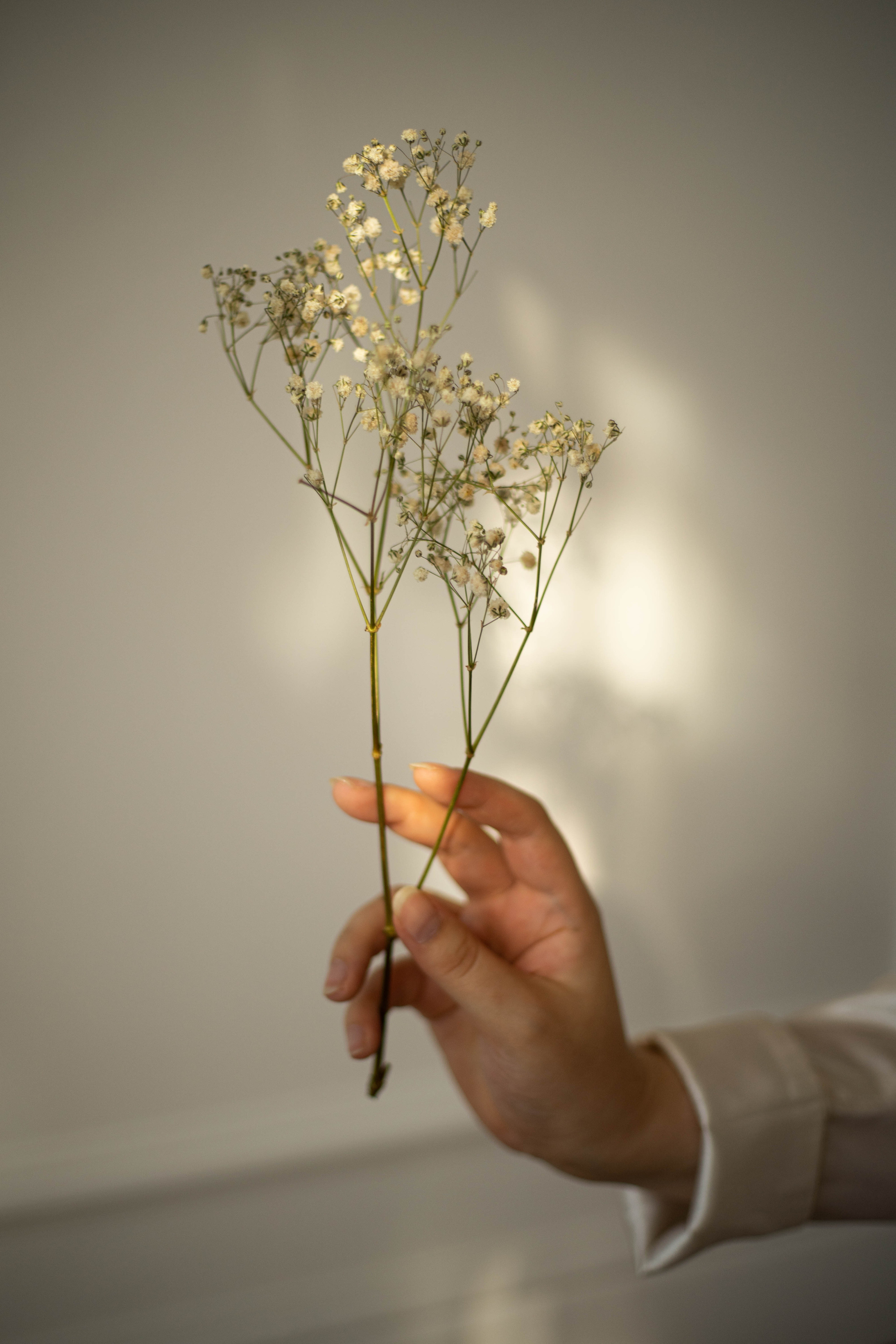 Ксения. Фотограф Пудинова Настя