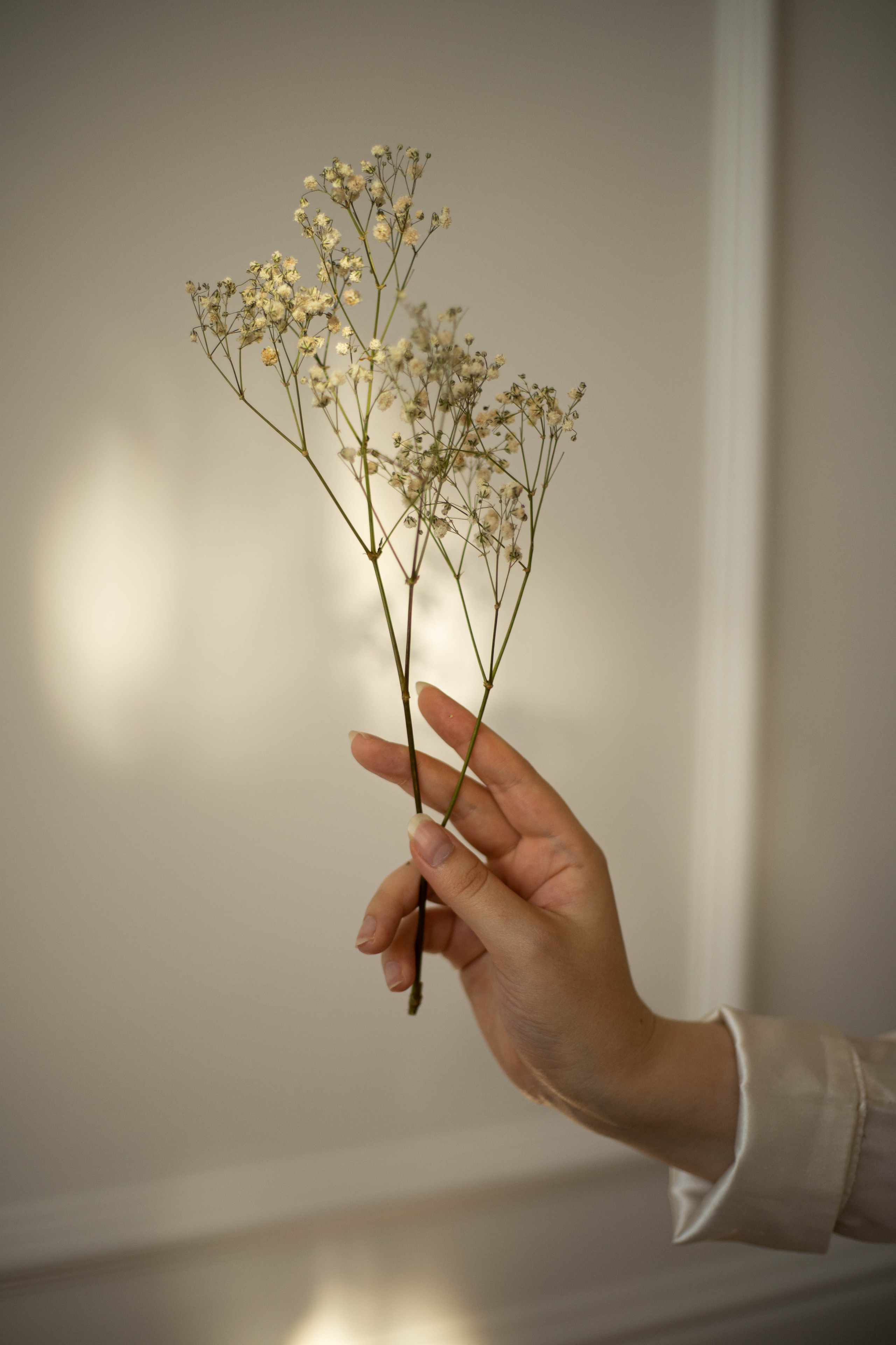 Ксения. Фотограф Пудинова Настя