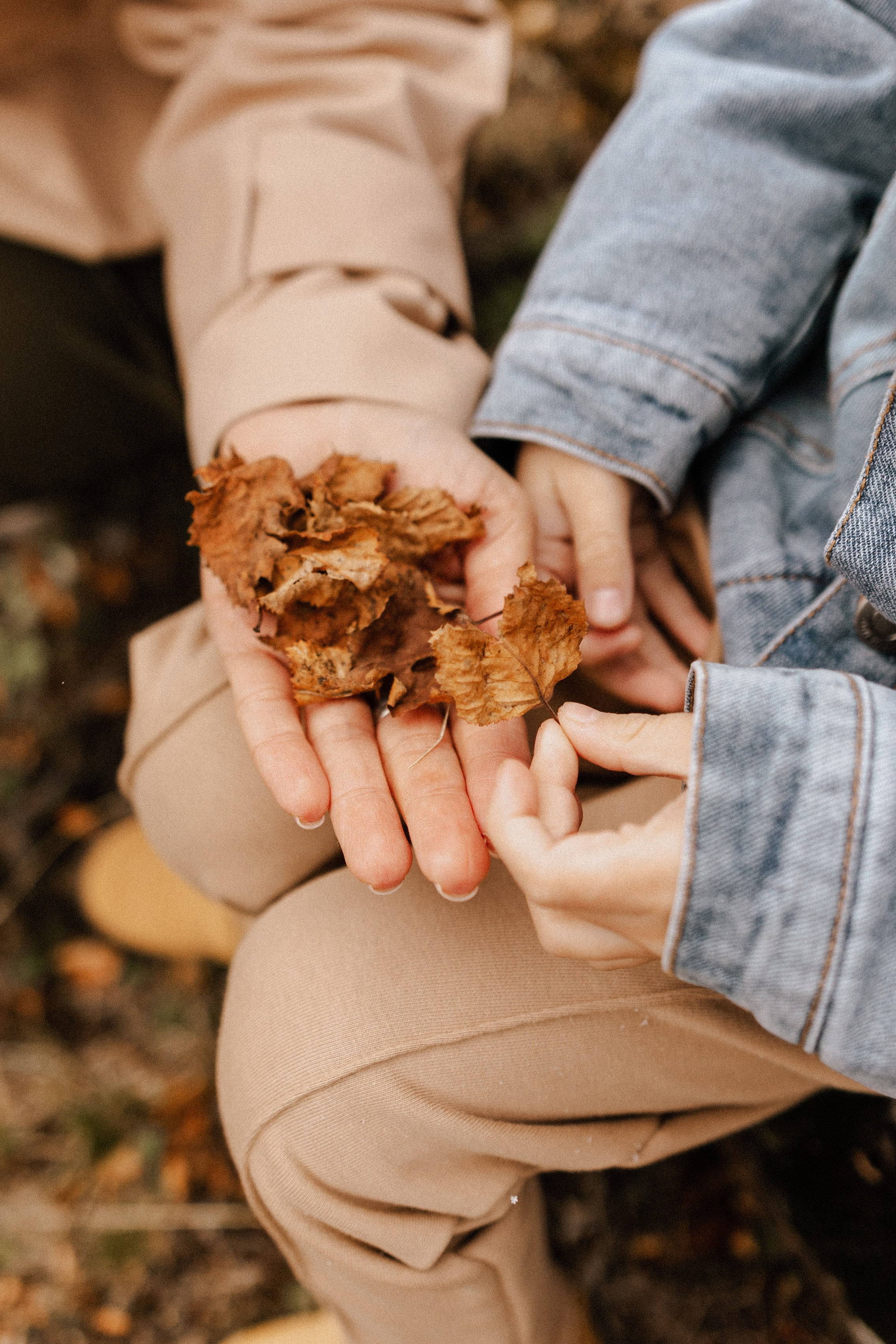 ВМЕСТЕ К ВЕРШИНАМ. Фотограф Настя Конник | Пятигорск | Эльбрус | Домбай | Архыз