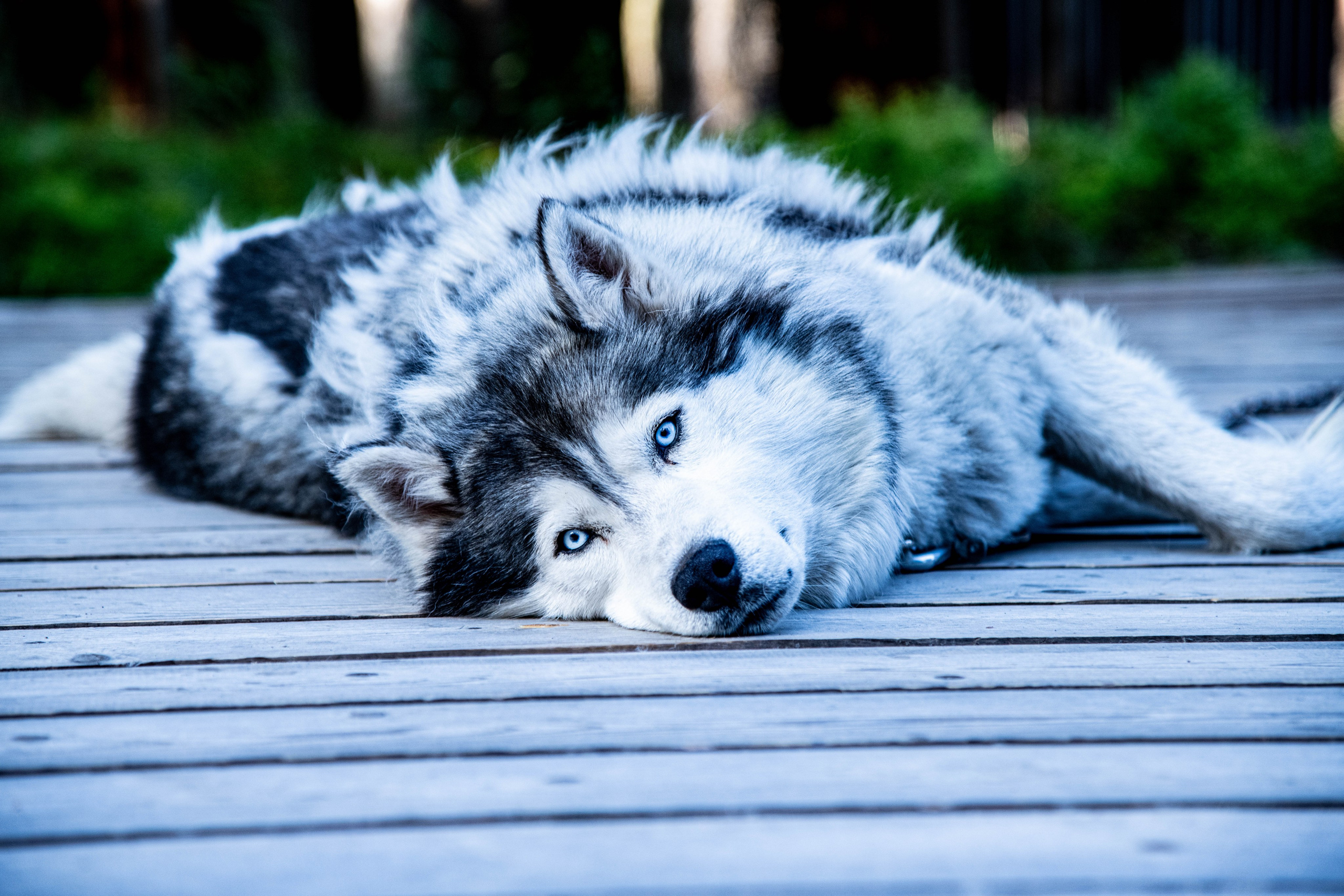 Кольский полуостров. Фотографирую для себя, своей семьи и друзей!