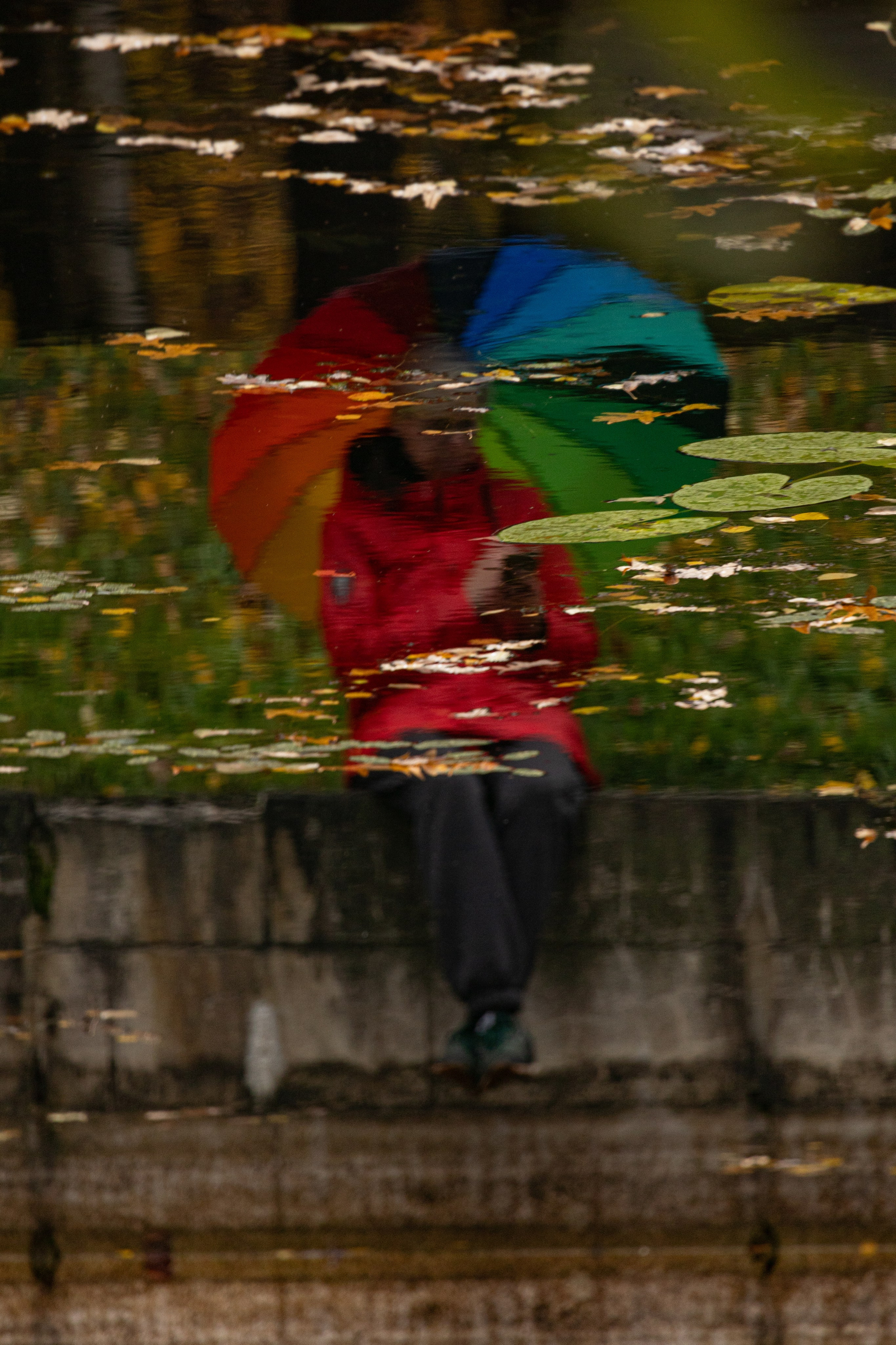 Татьяна. Золотая осень в Кусково