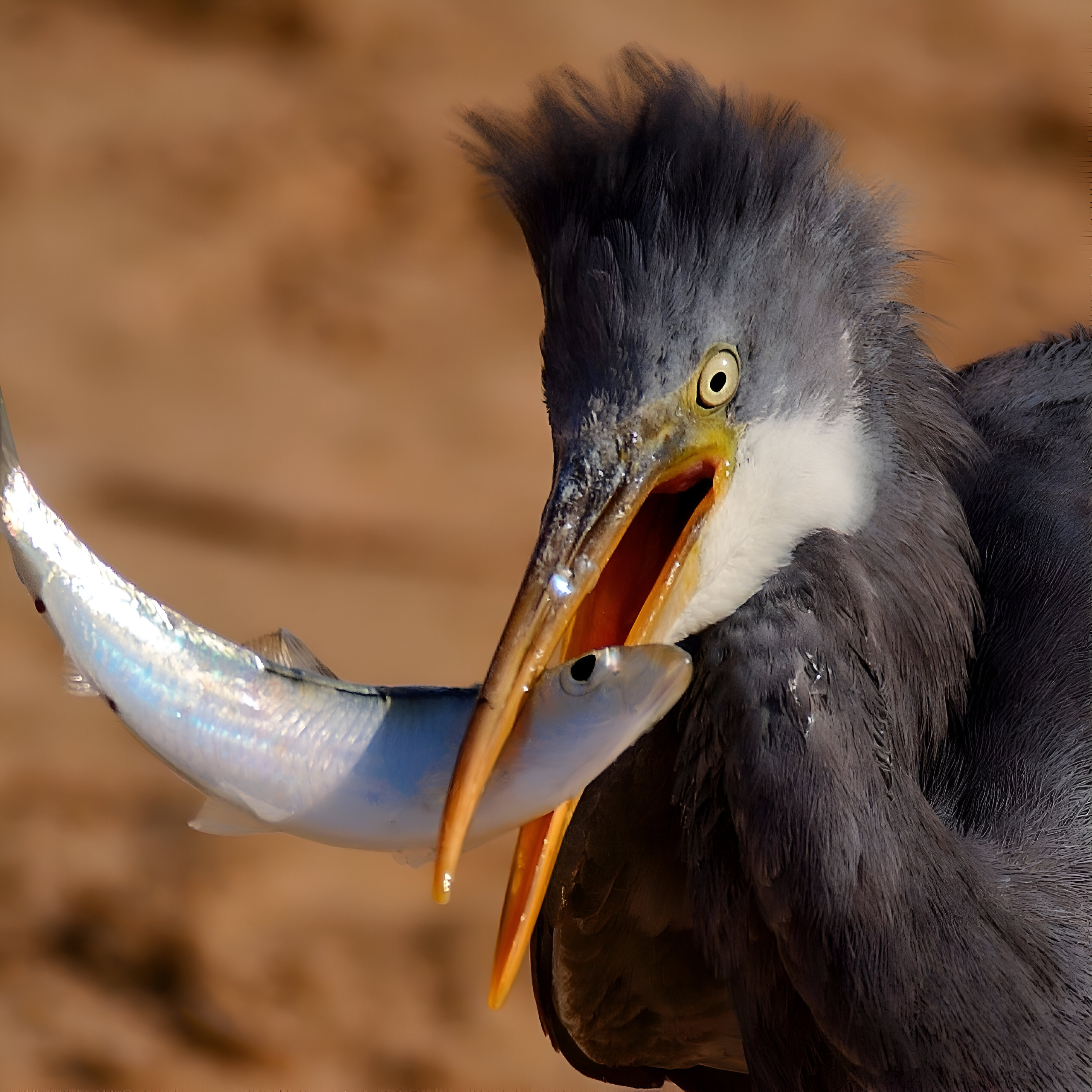 Фотограф Ваших событий 📸