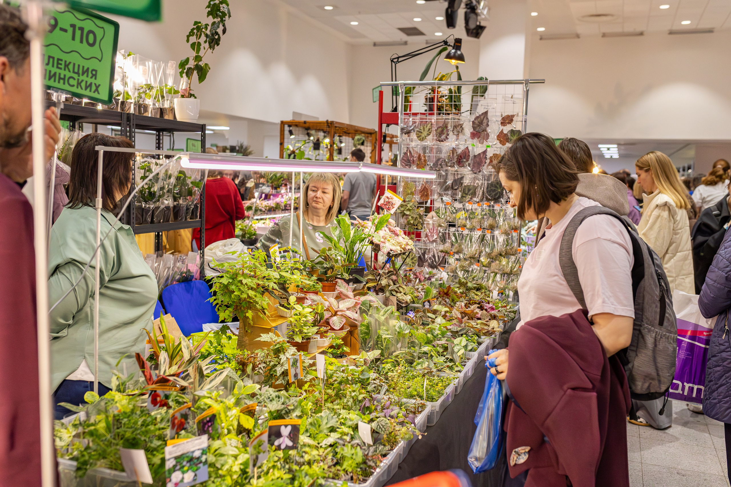 Монстериум апрель 2026. Александра Куликова фотограф, Москва